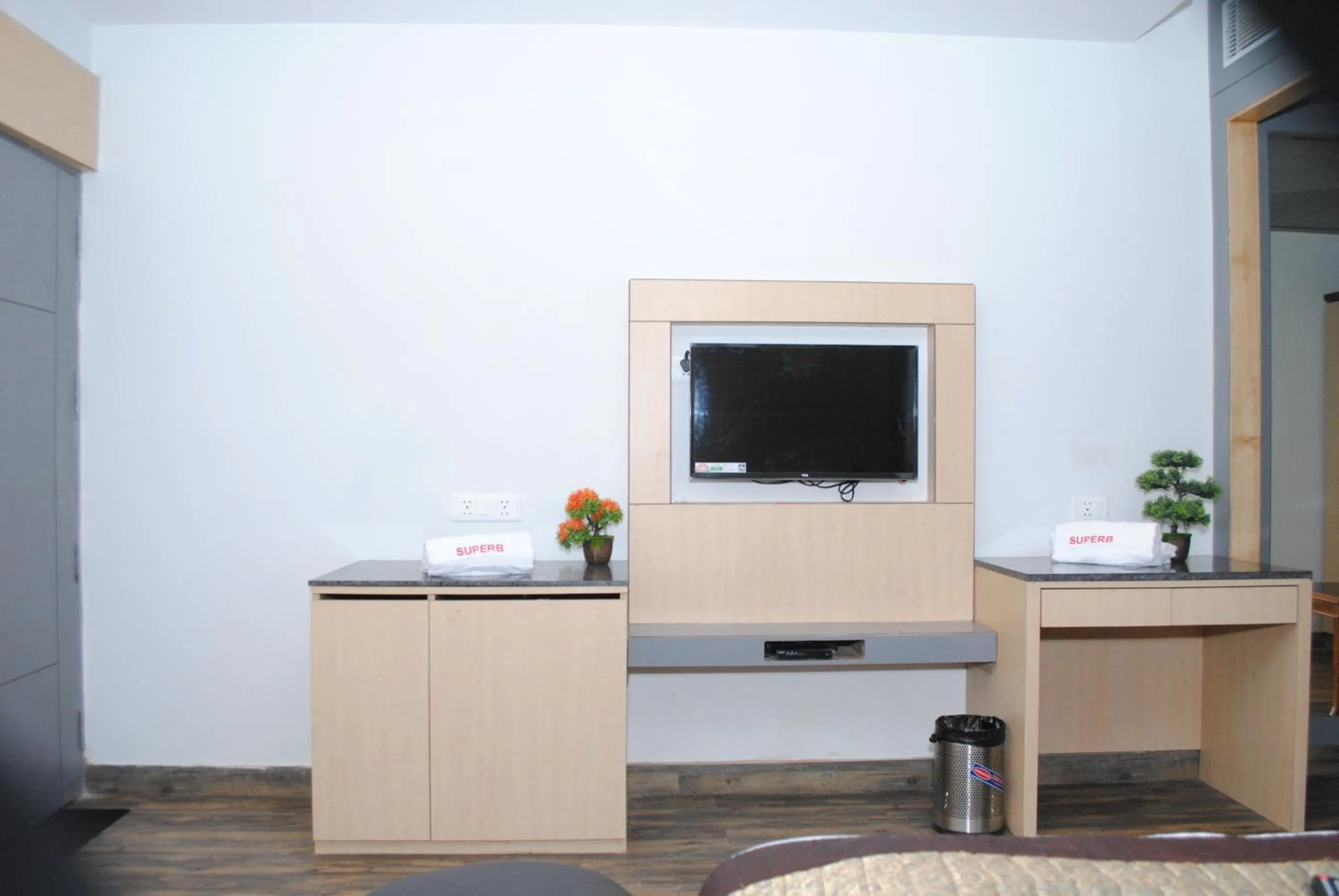 TV and multimedia in Hotel Superb 5 Mins Walk From New Delhi Station