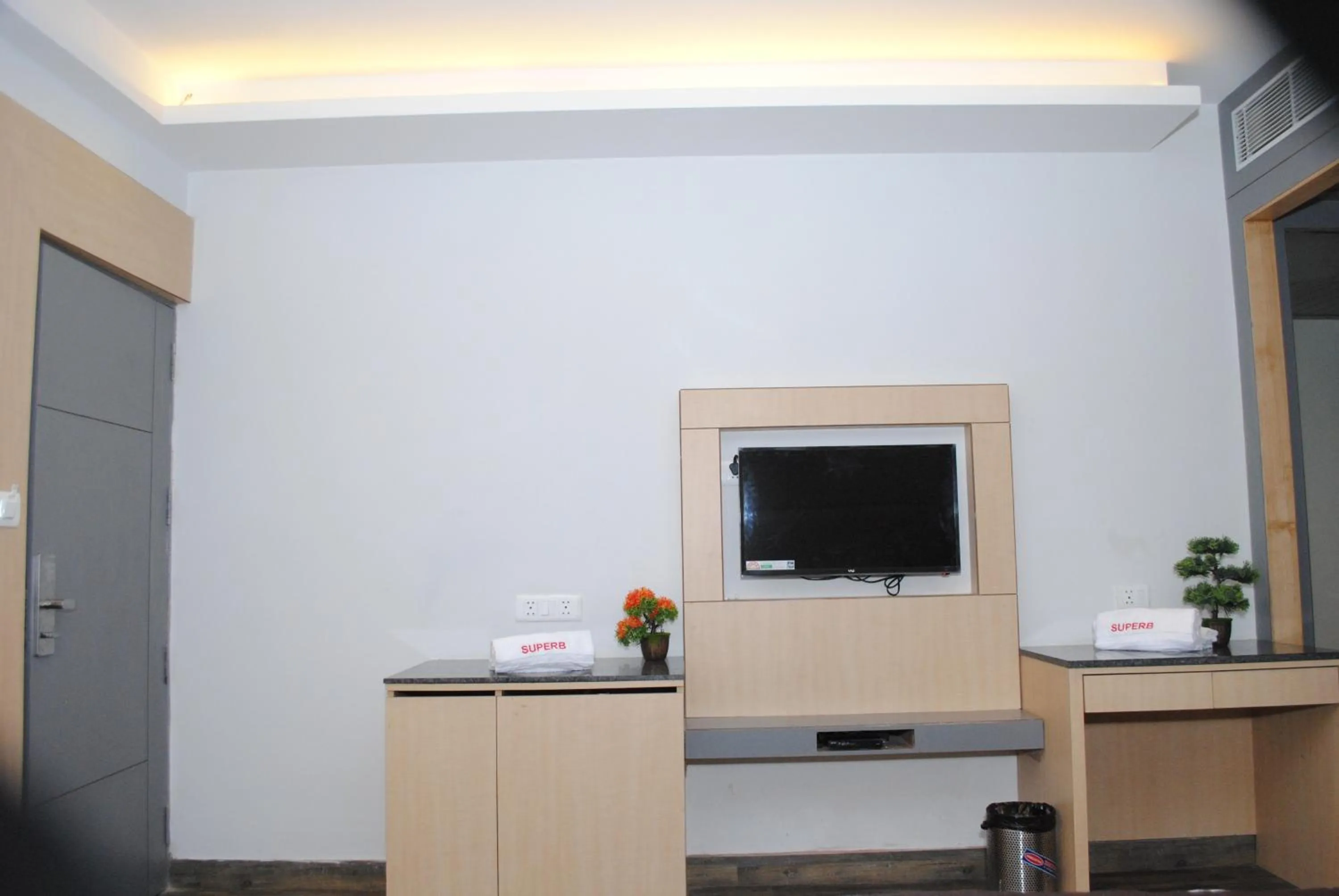 TV and multimedia in Hotel Superb 5 Mins Walk From New Delhi Station