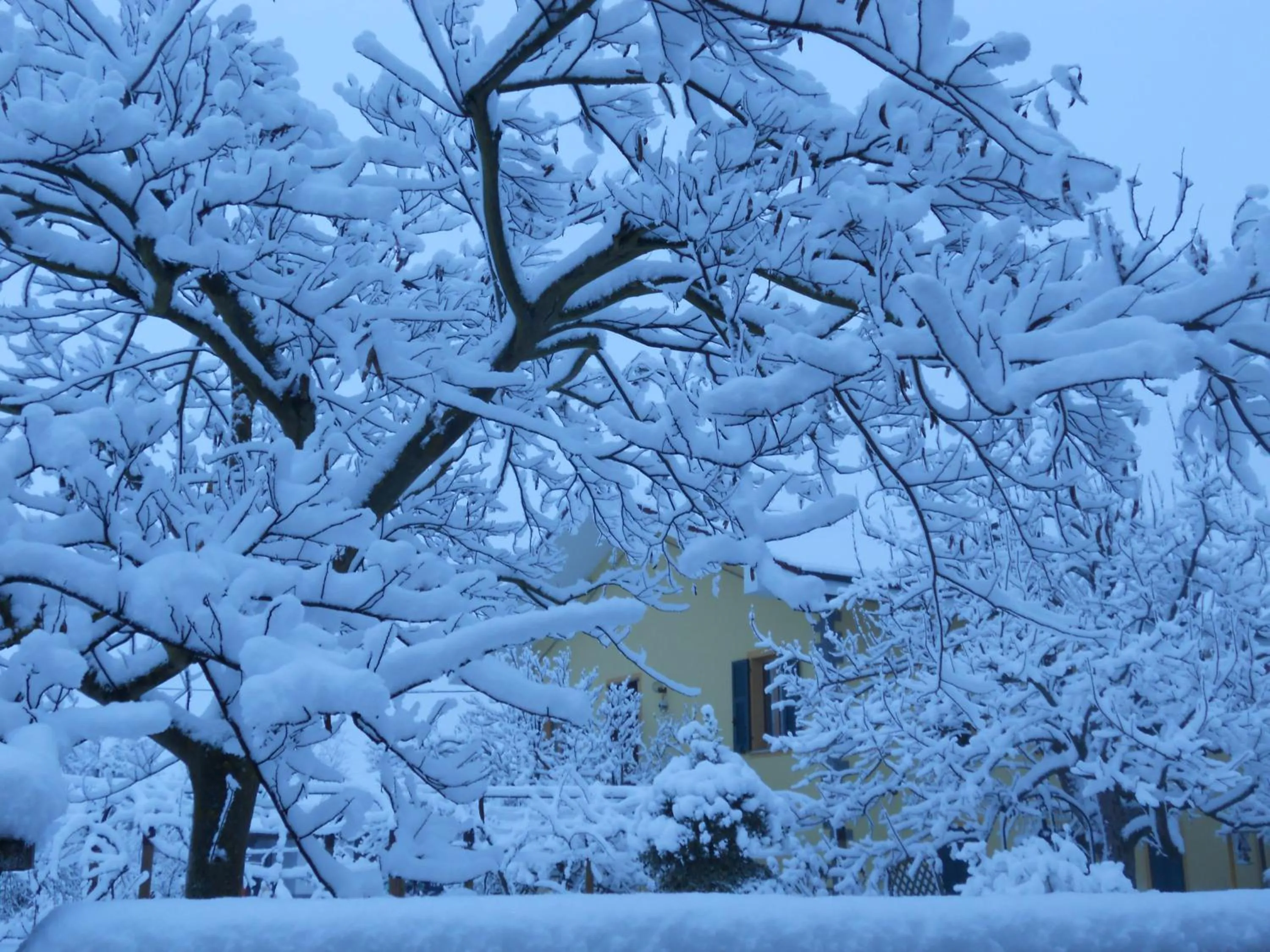 Winter in B&B Pervinca