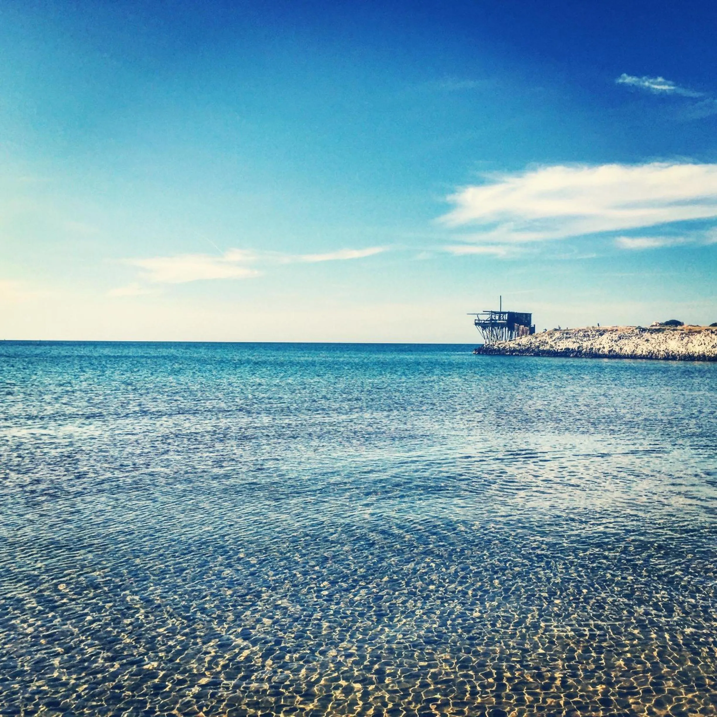 Day in Residence Il Falco