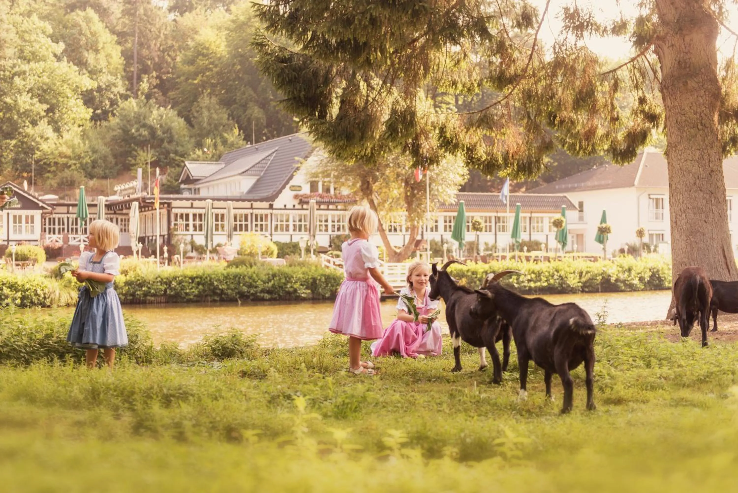 Animals in Forsthaus Seebergen