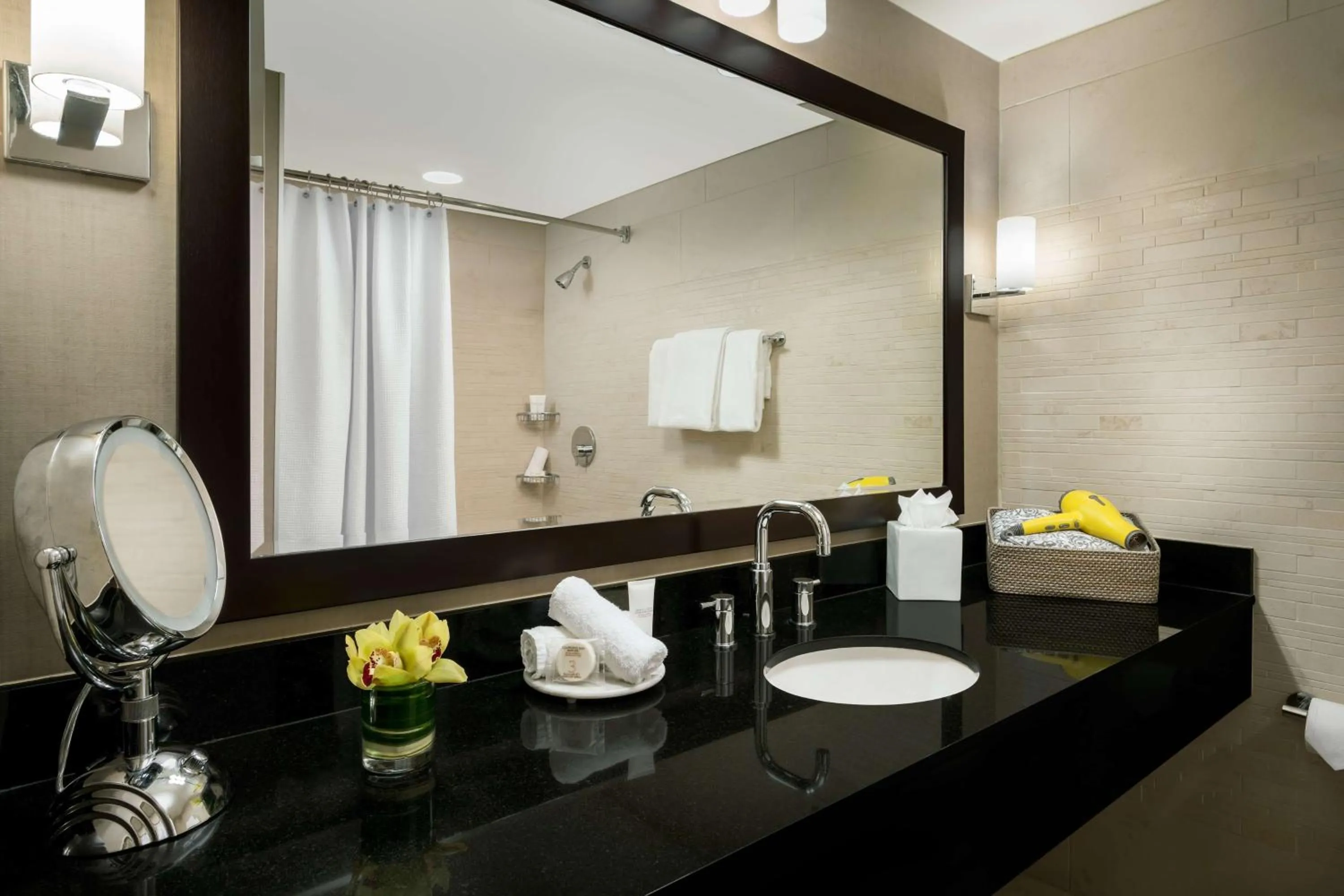 Bathroom in Hyatt Centric Arlington