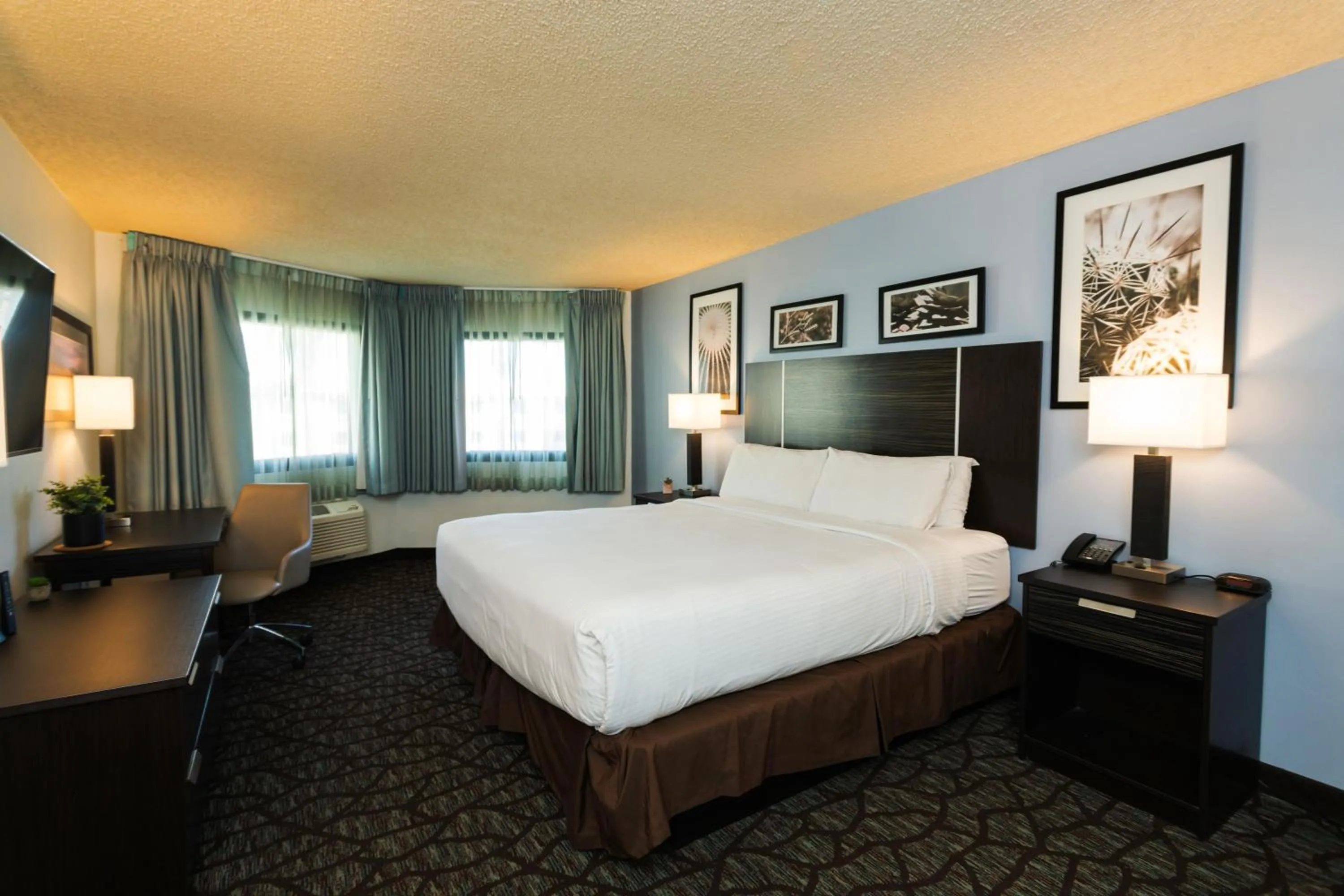 Photo of the whole room, Bed in Silver Sevens Hotel and Casino, a Wyndham Garden