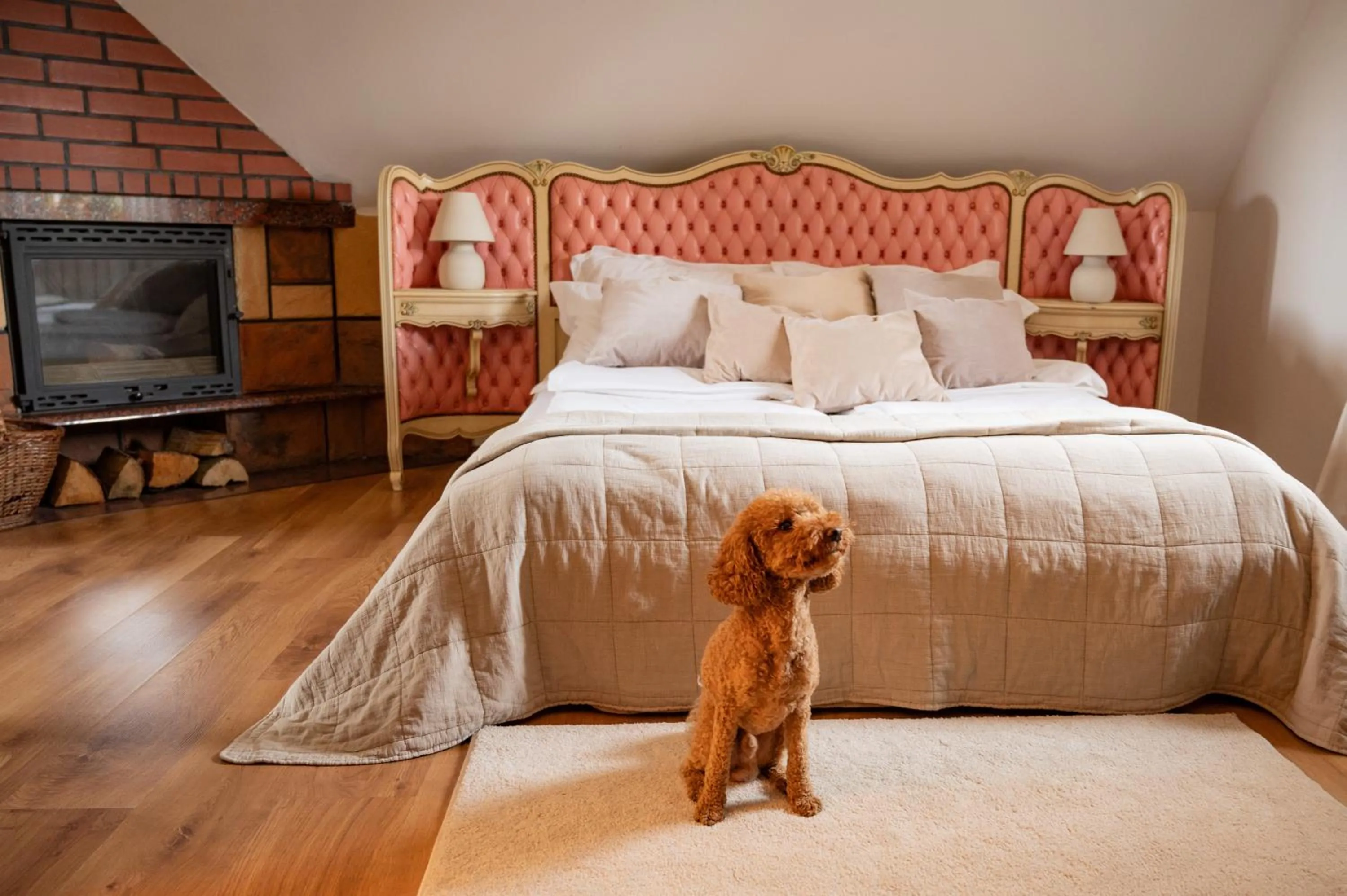 Animals, Bed in Pensjonat Zakątek