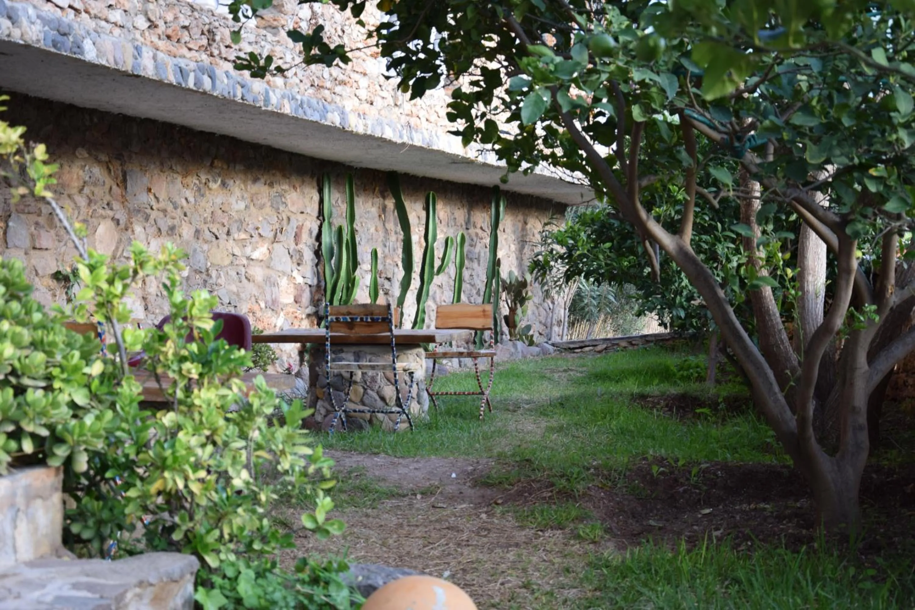 Garden in Hotel Leonor