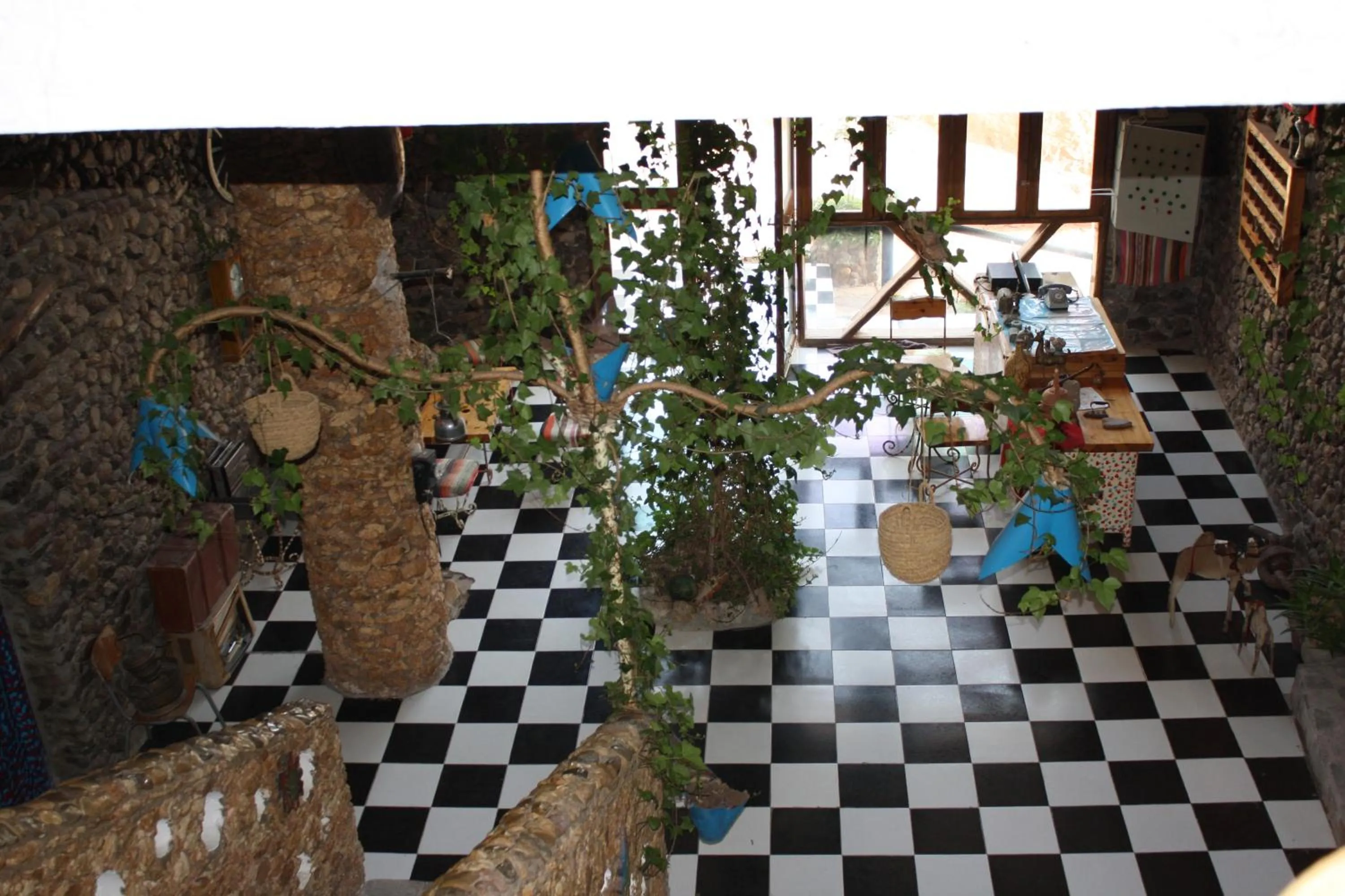 Patio in Hotel Leonor