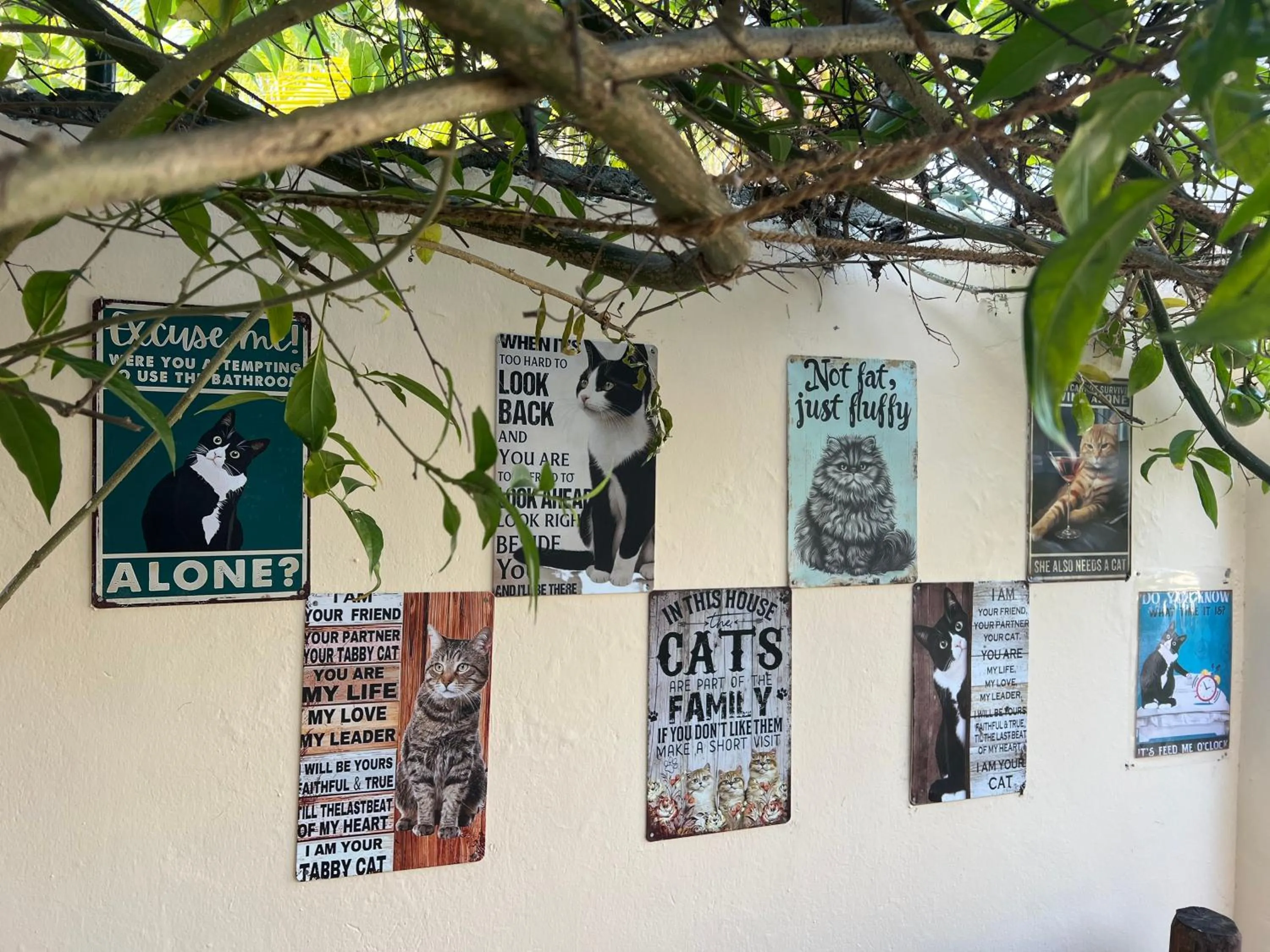 Property building in Gadea Boutique Hotel& Gadea Garden Italian Restaurant