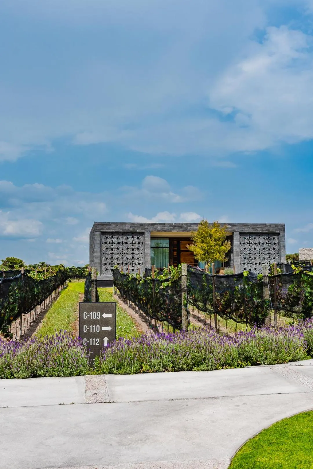 Property building in Casa Raíces Hotel Luxury & Viñedo