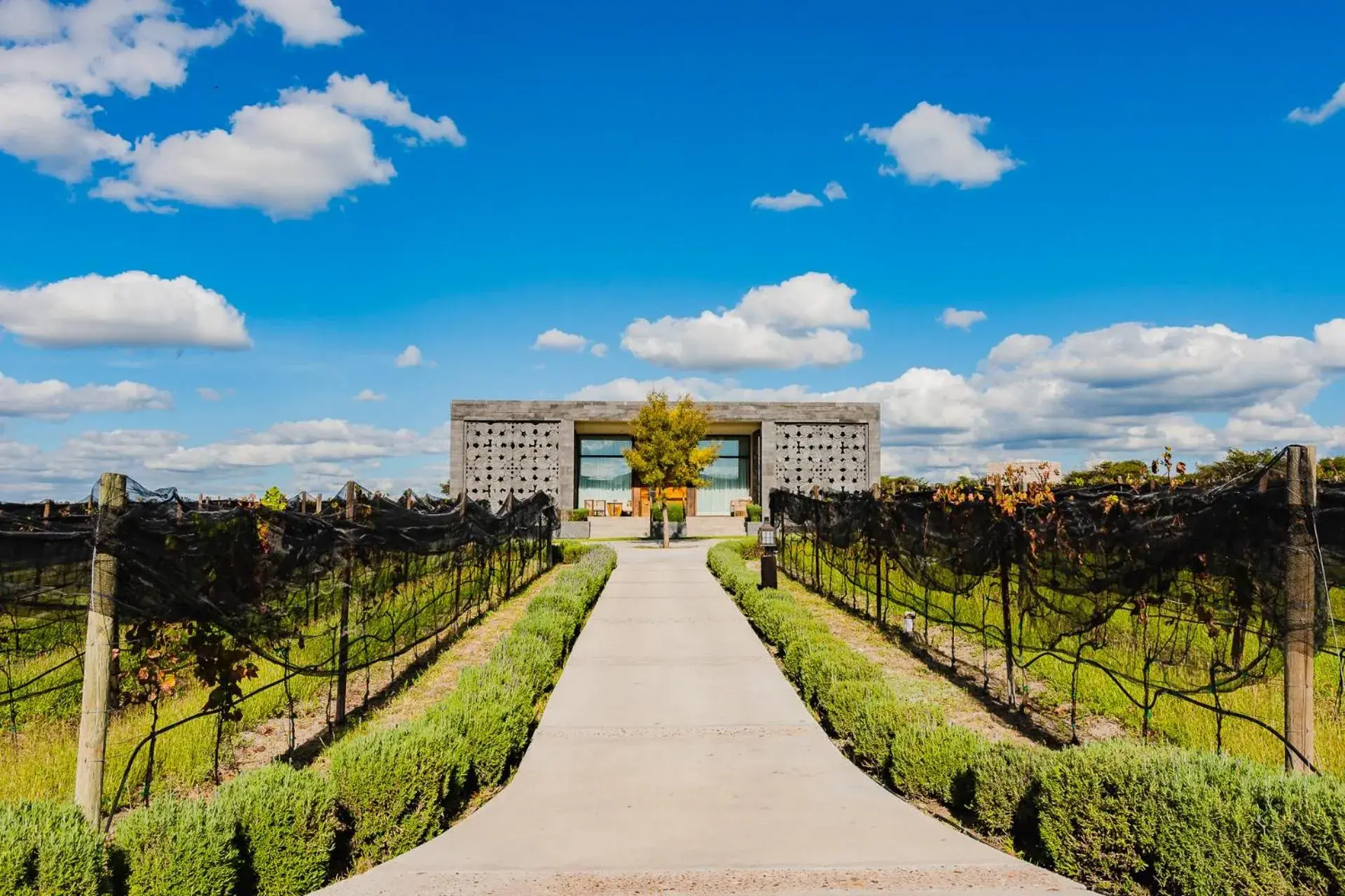 Casa Raíces Hotel Luxury & Viñedo Casa Raíces Hotel Luxury & Viñedo