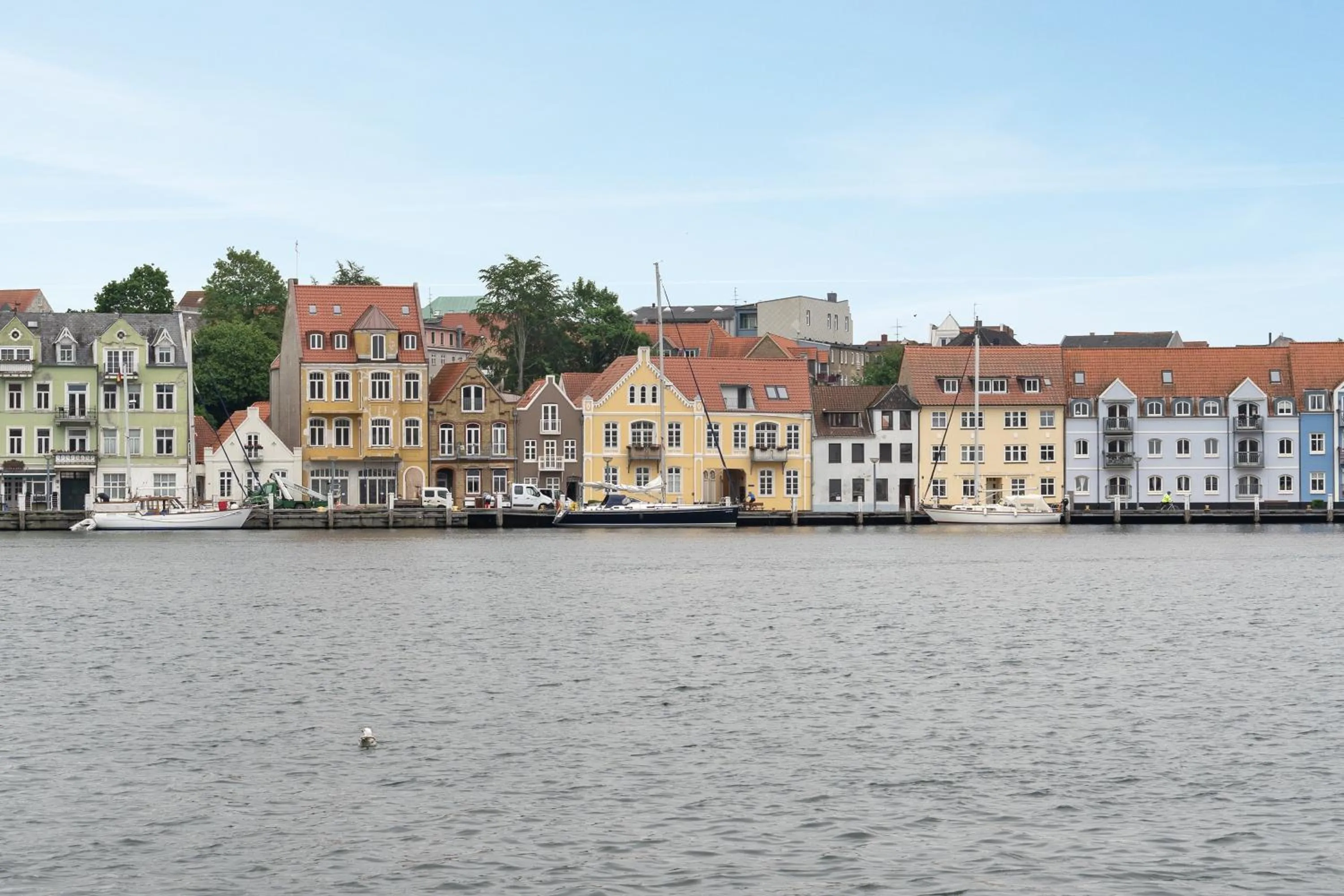 Neighbourhood in Harbour View