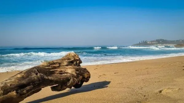 Natural landscape in Rockview Guest House