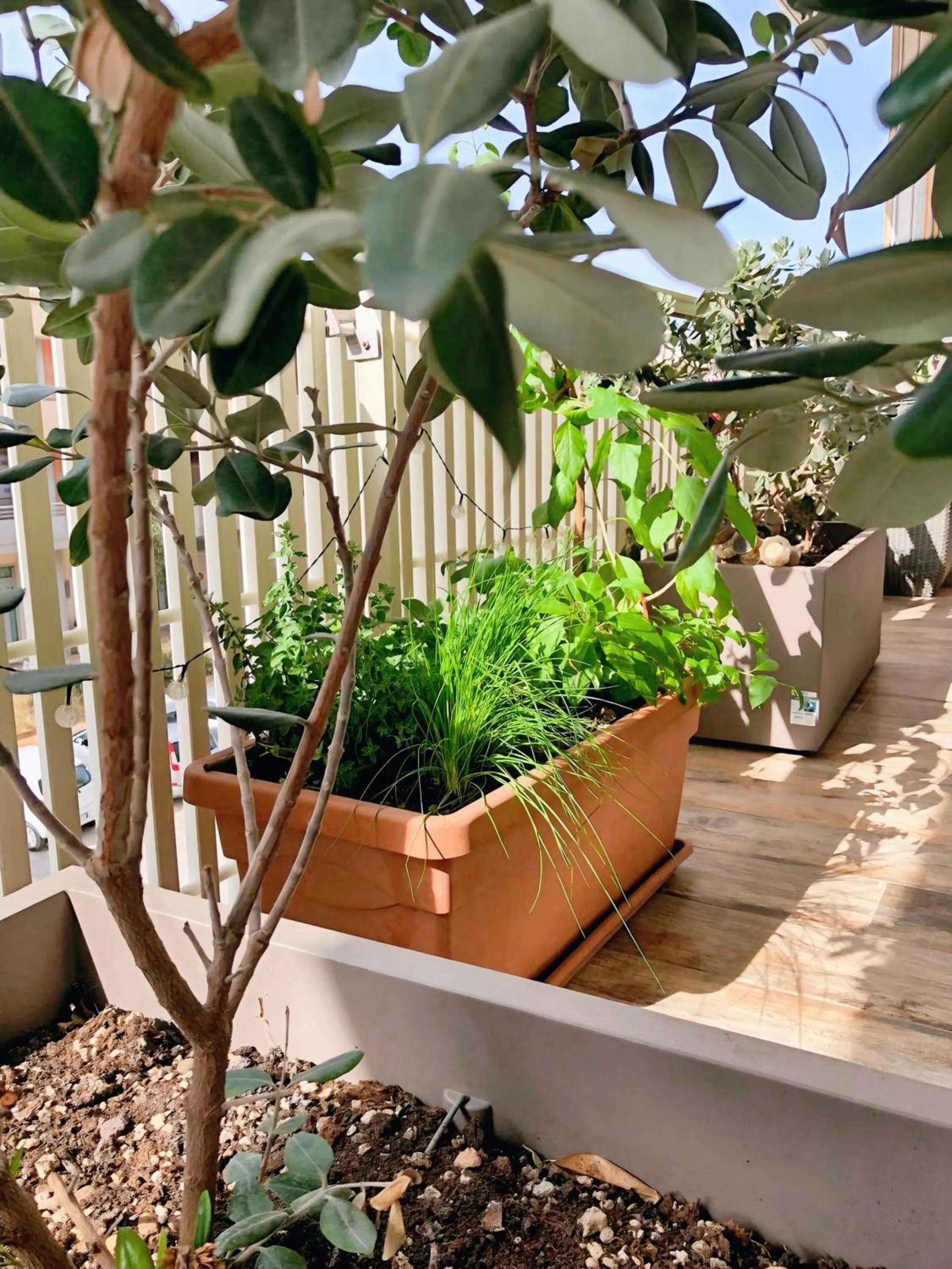 Balcony/Terrace in Rizzi Marianna B&B