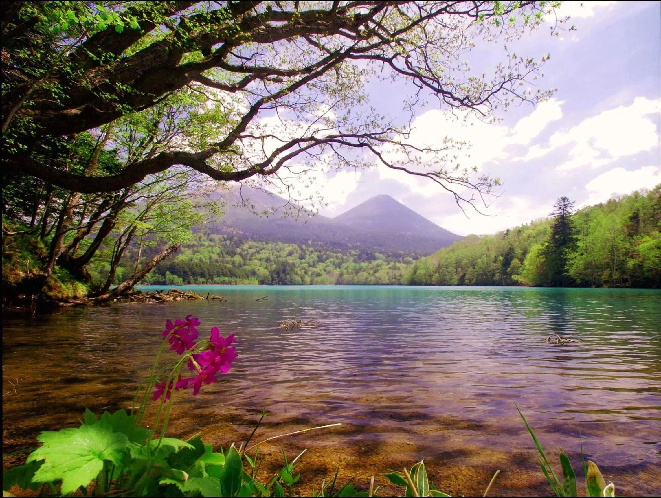 Nearby landmark in Hotel REUS Ashoro