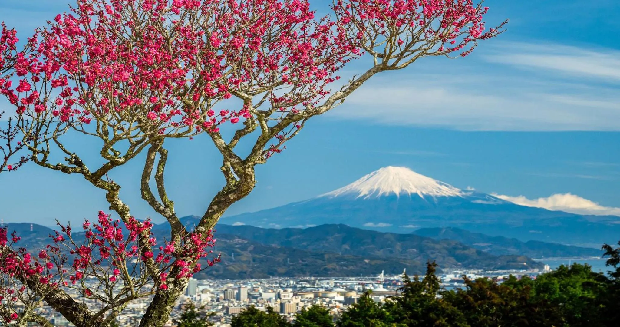 Nearby landmark in KAMENOI HOTEL Yaizu