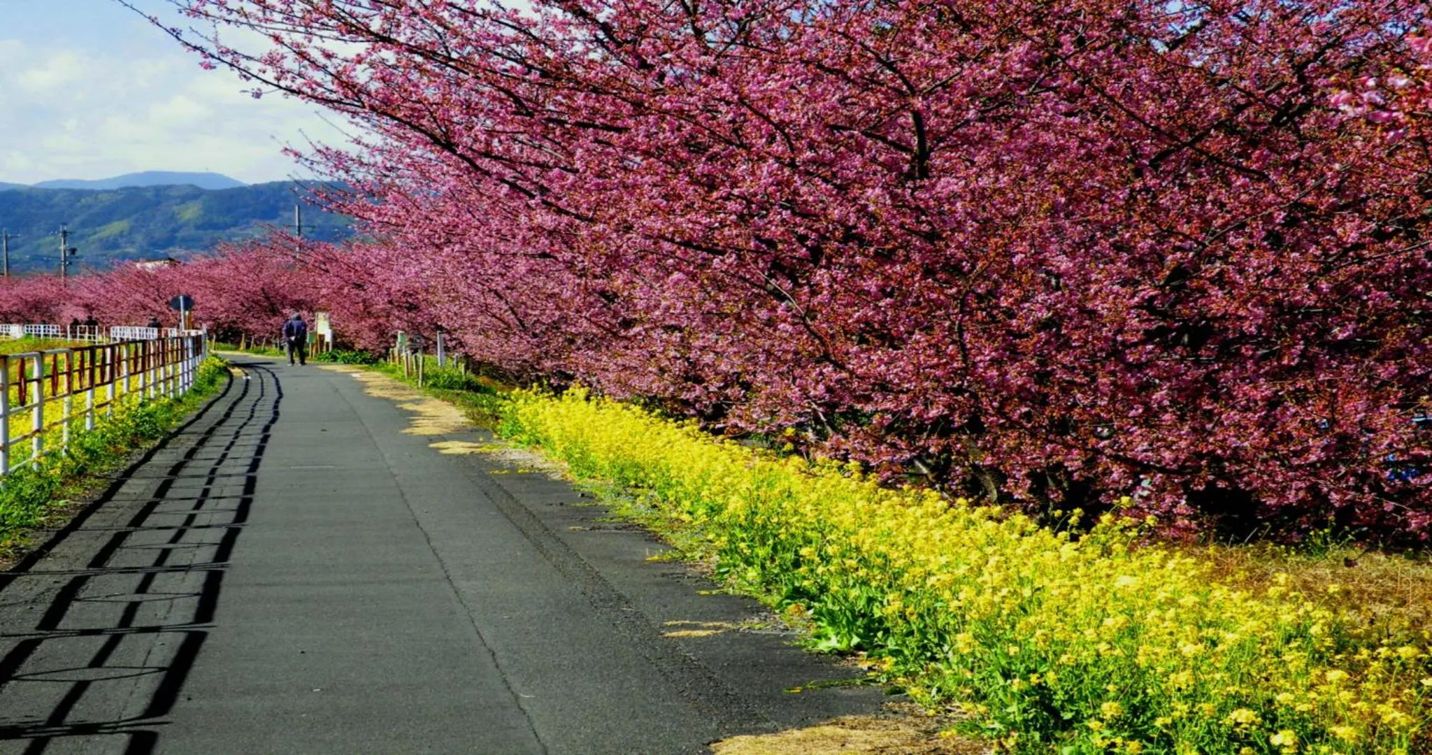 Nearby landmark in KAMENOI HOTEL Yaizu
