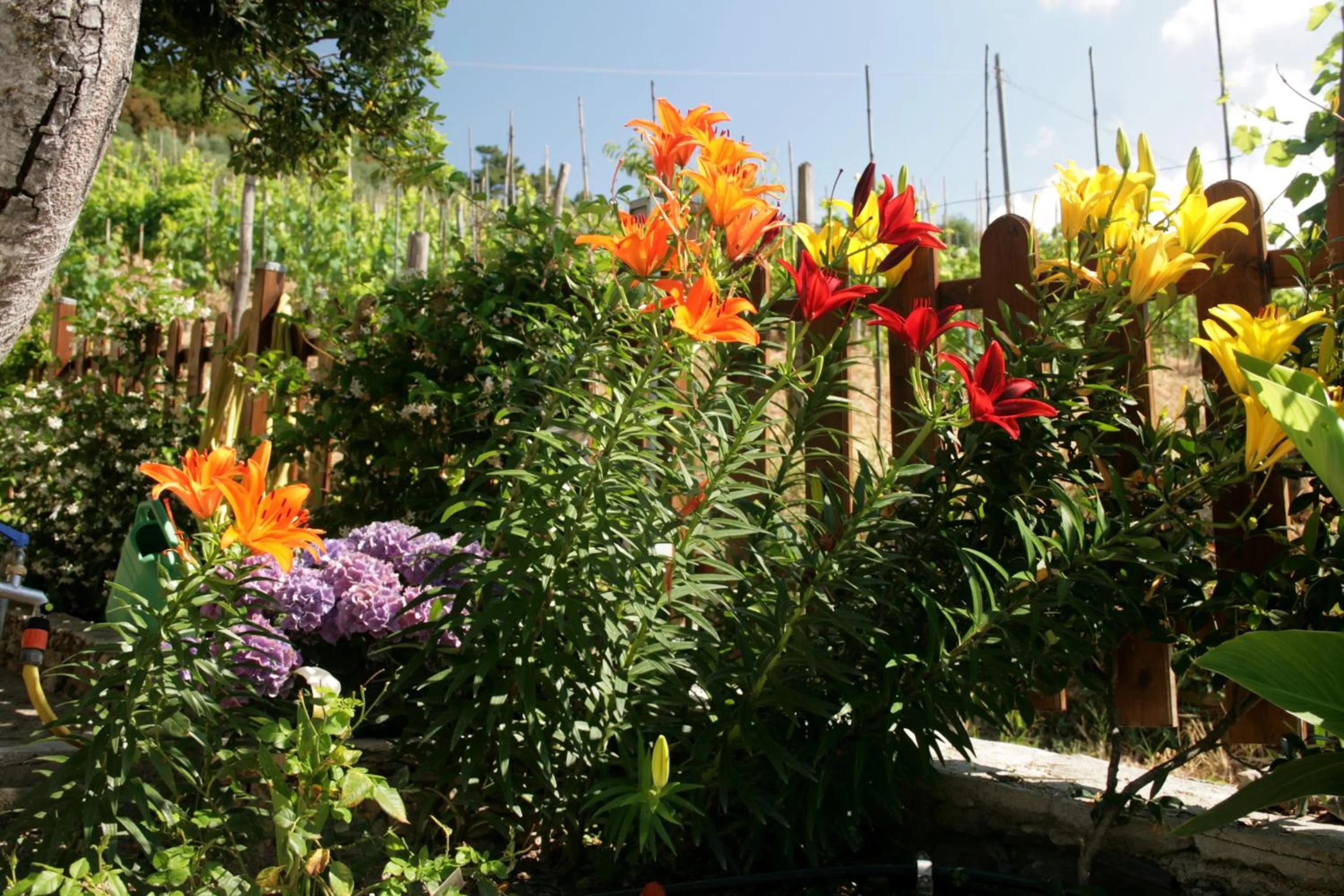 Decorative detail in Cà de Pria