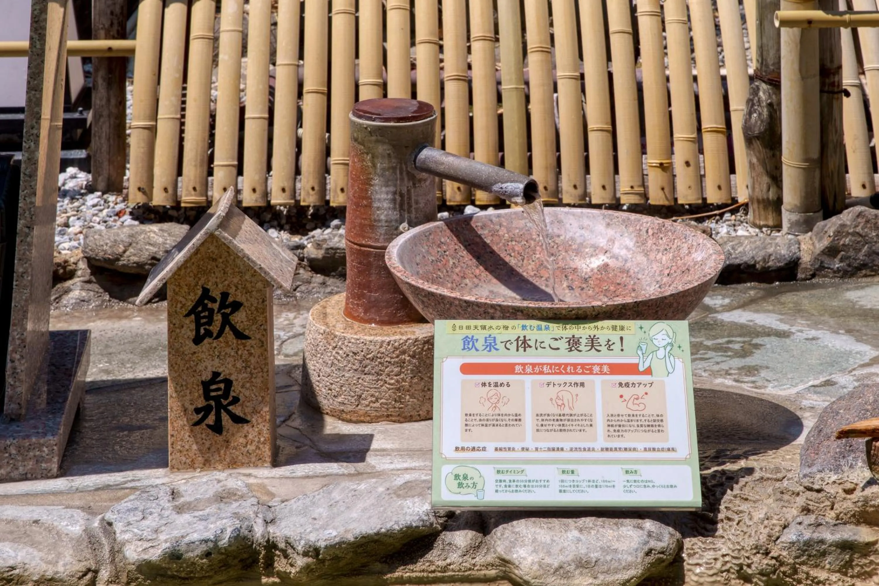 Hot Spring Bath in Hita Tenryosui no Yado