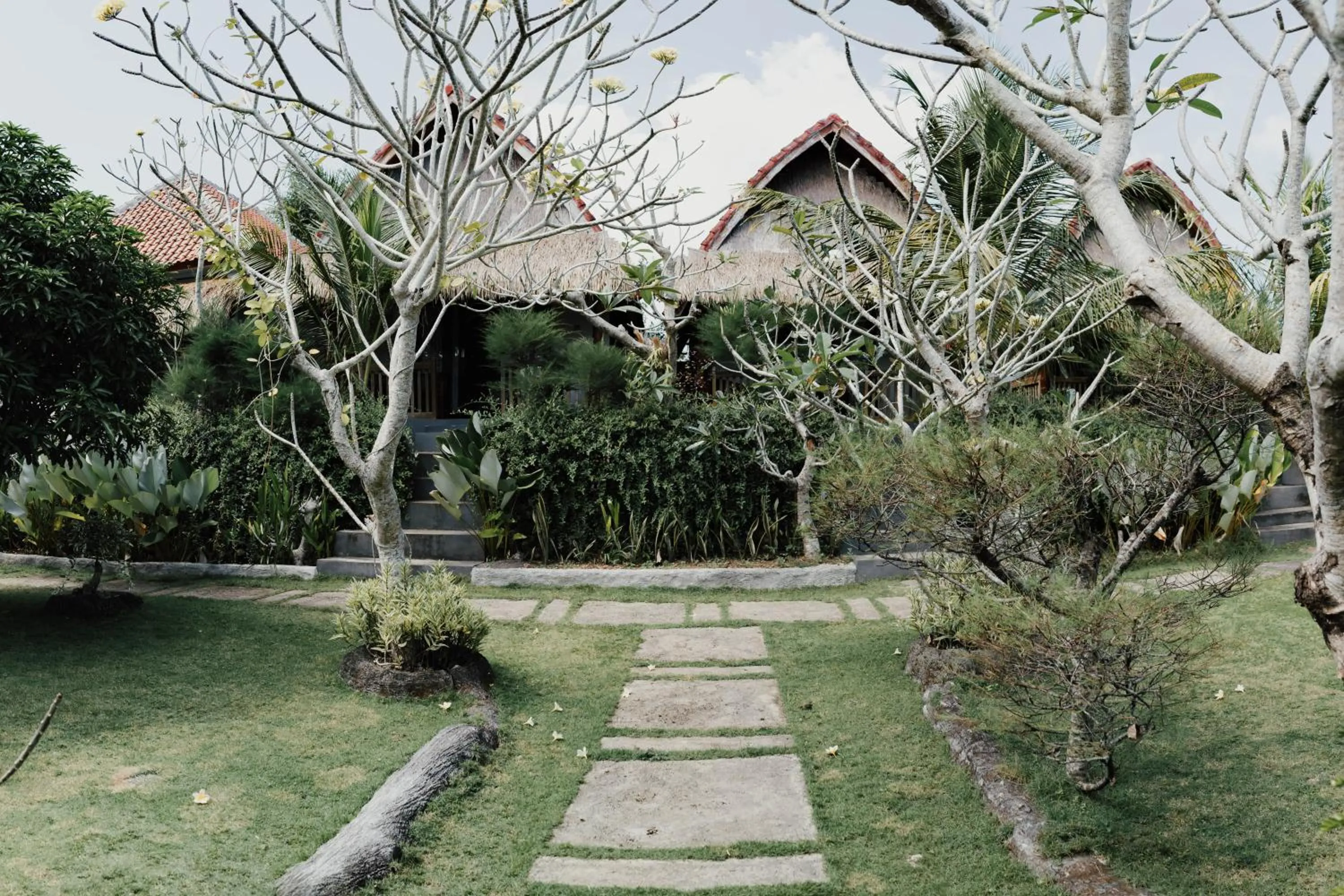 Spring in Temeling Jungle Inn