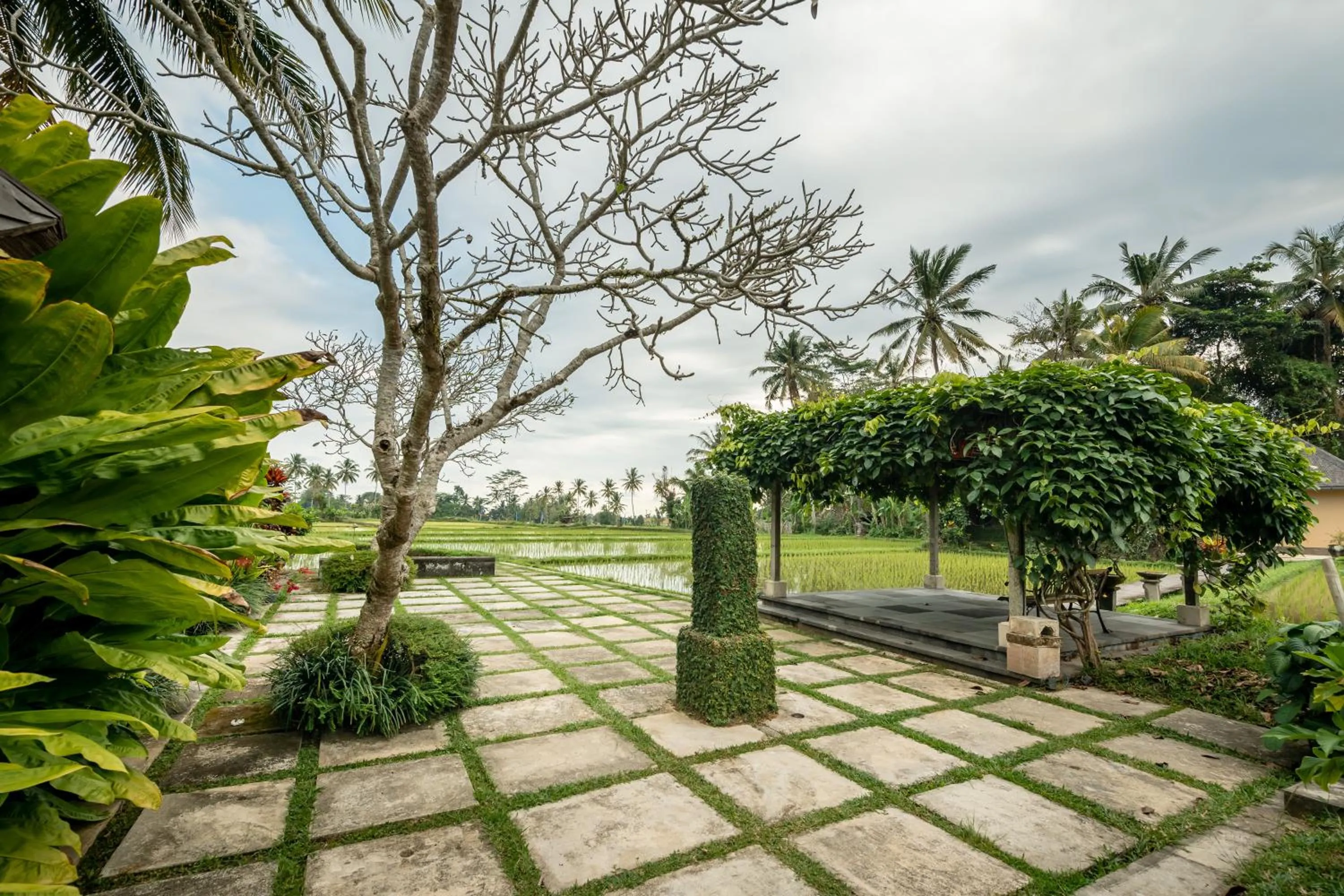 Garden view in Villa Vajra