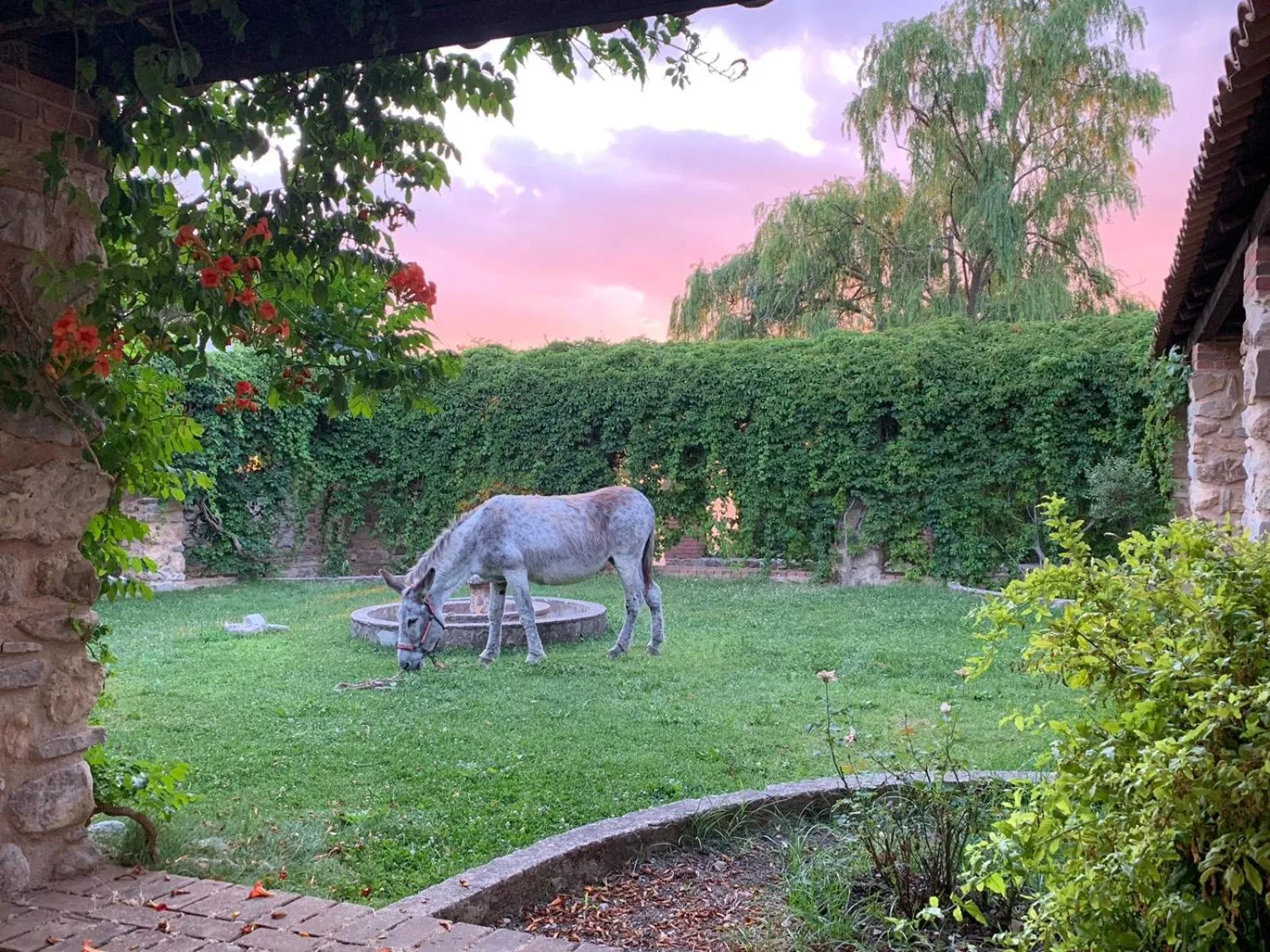 Sunset in Giardino Donna Lavia