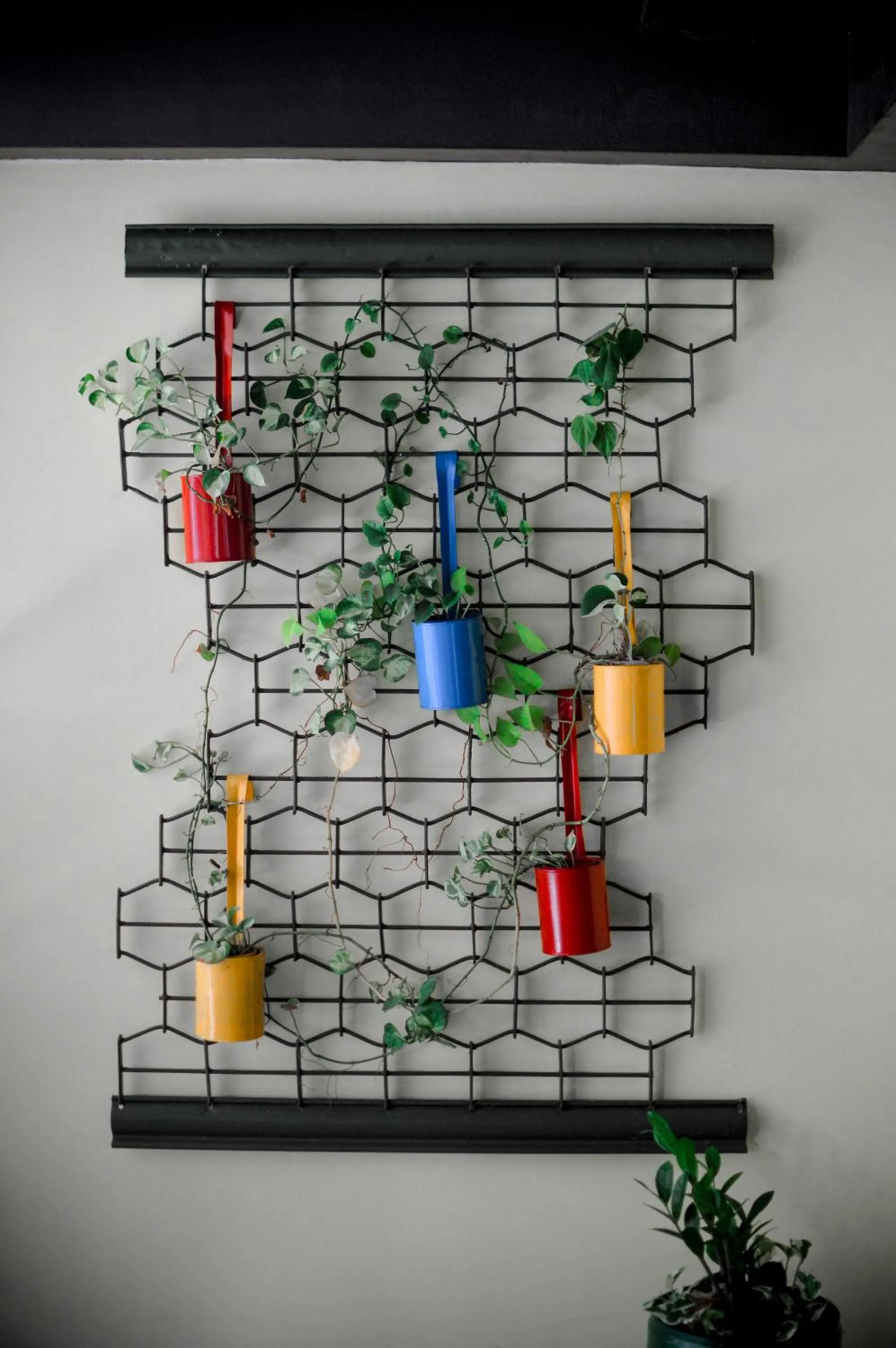 Area and facilities in Zoot Kochi Infopark