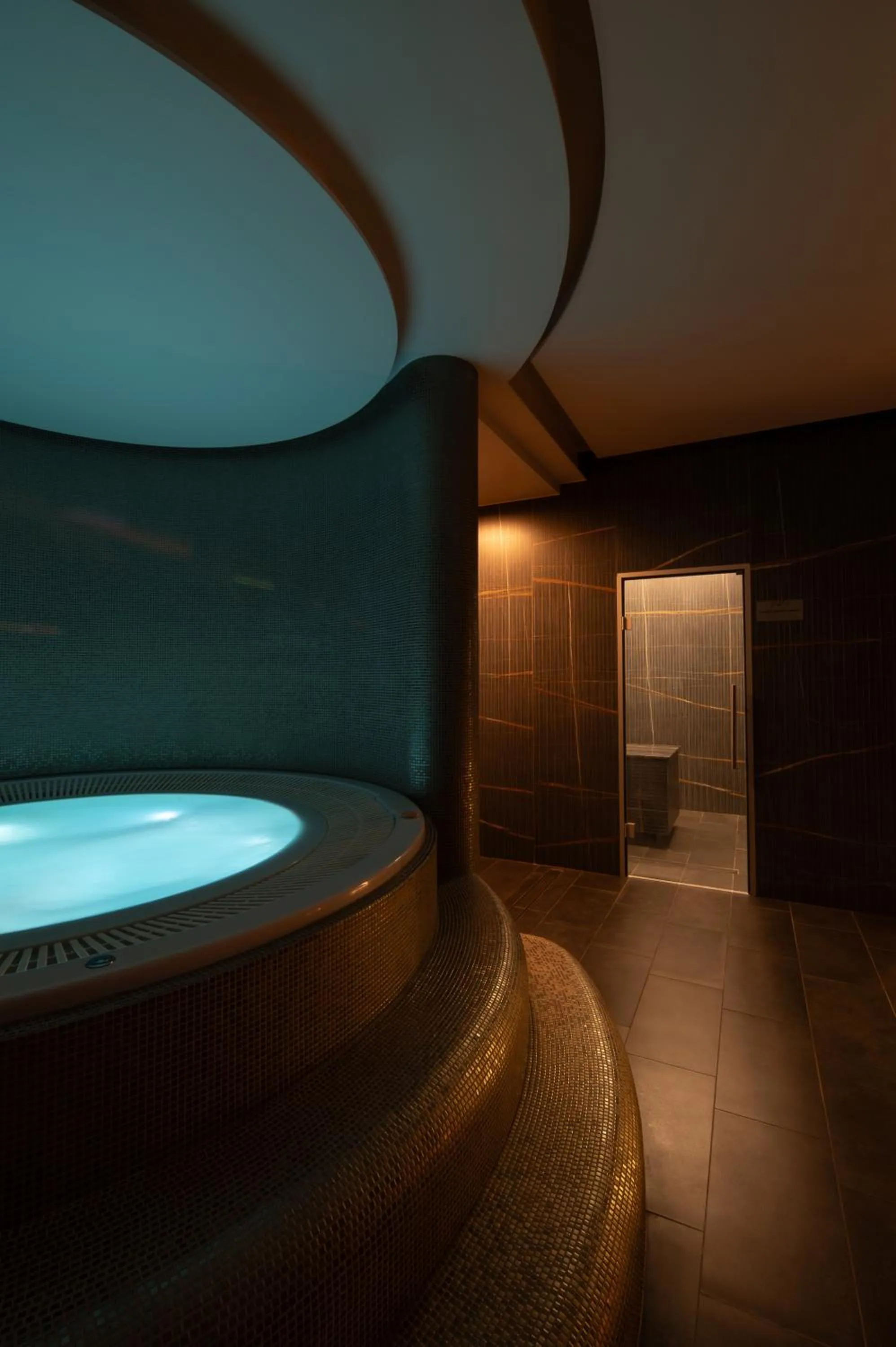 Hot Tub in Amsterdam Plaza Hotel & SPA