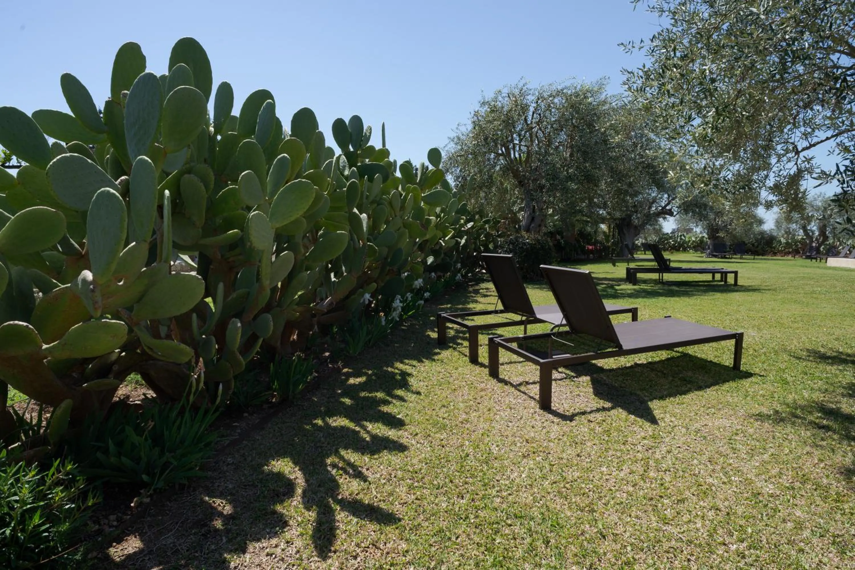 Swimming pool in Baglio Siciliamo Country House