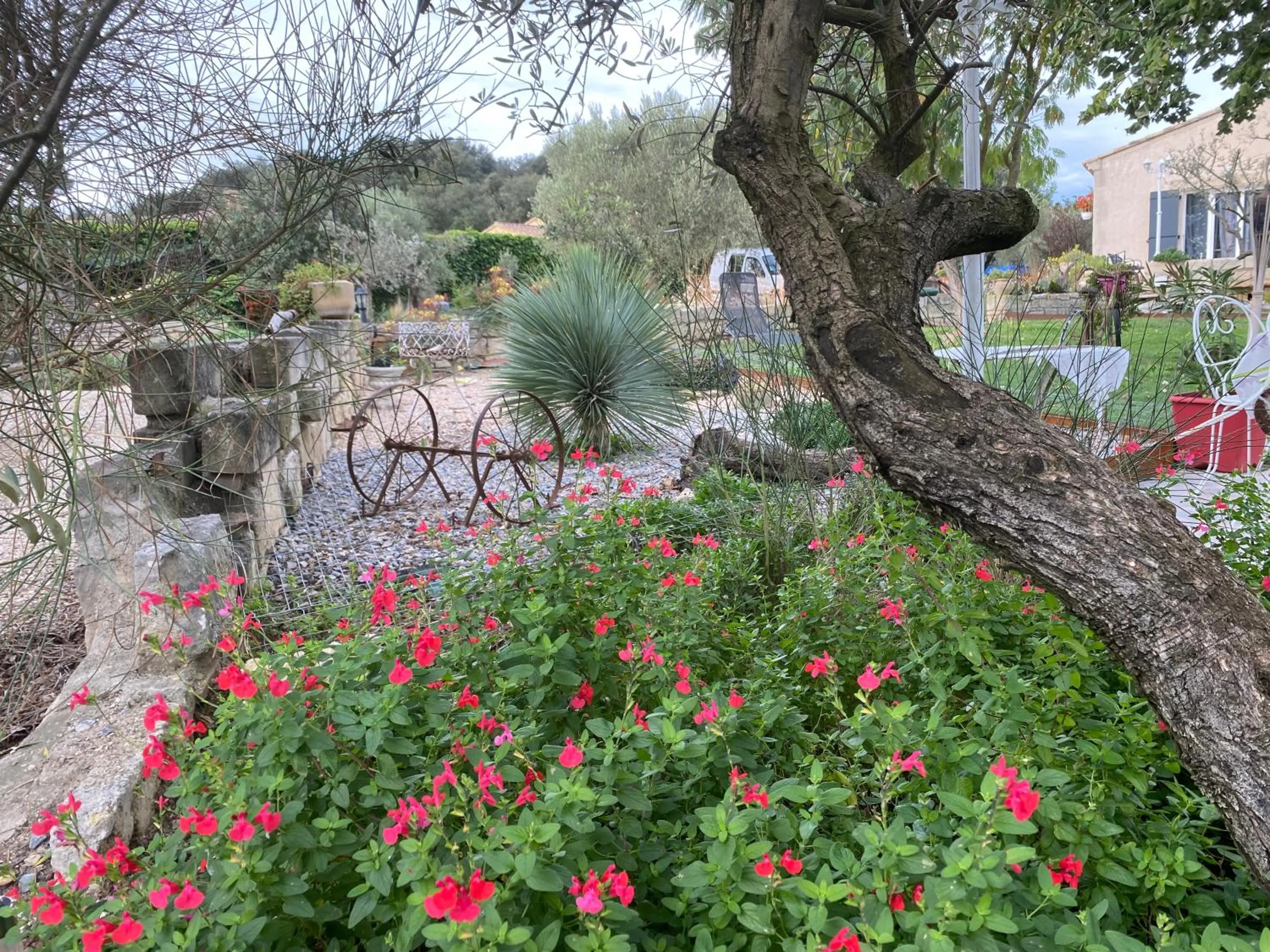 Garden view in chambre d'hotes les cigales