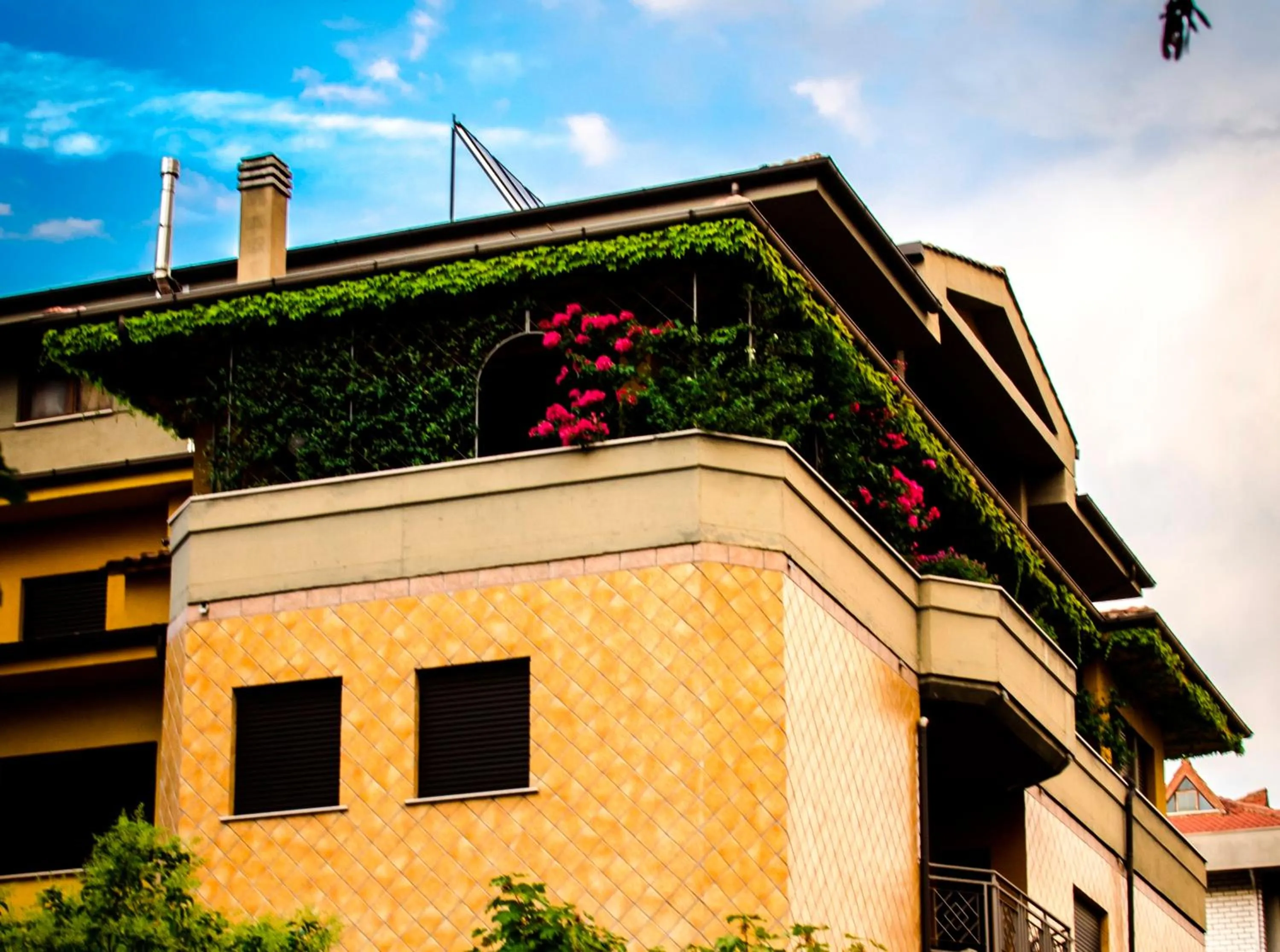Facade/entrance in B&B Tribunale