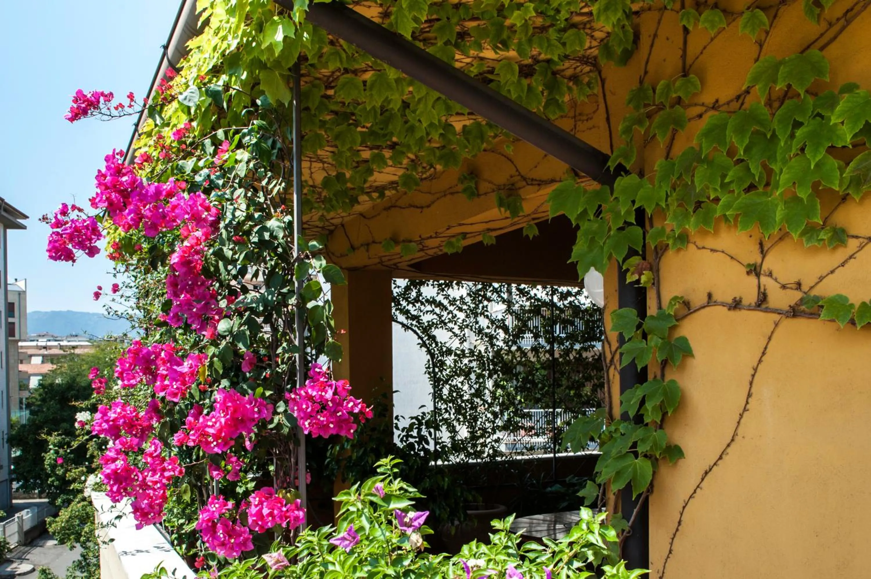 Balcony/Terrace in B&B Tribunale