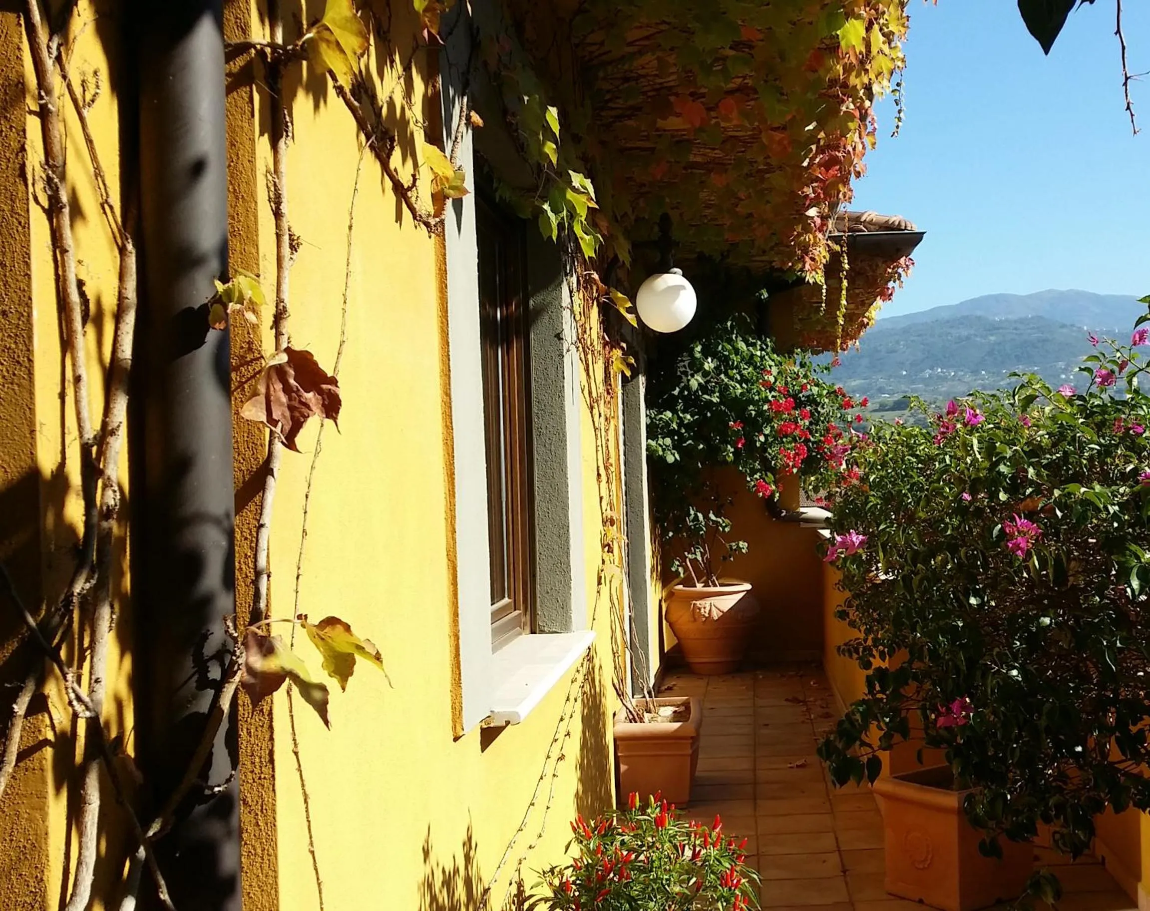 Decorative detail in B&B Tribunale