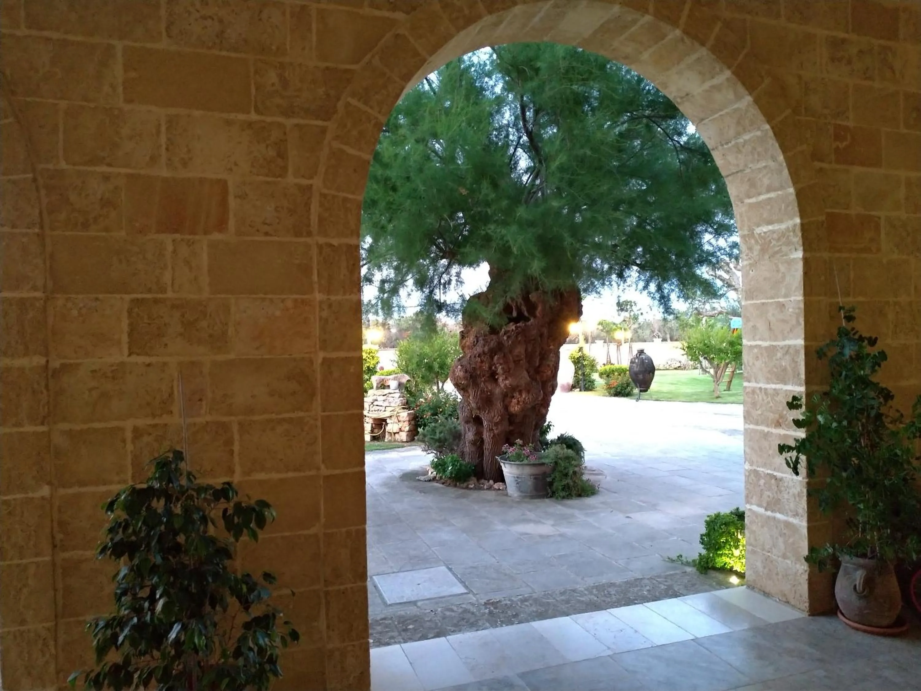 View (from property/room) in Agriturismo Paradiso