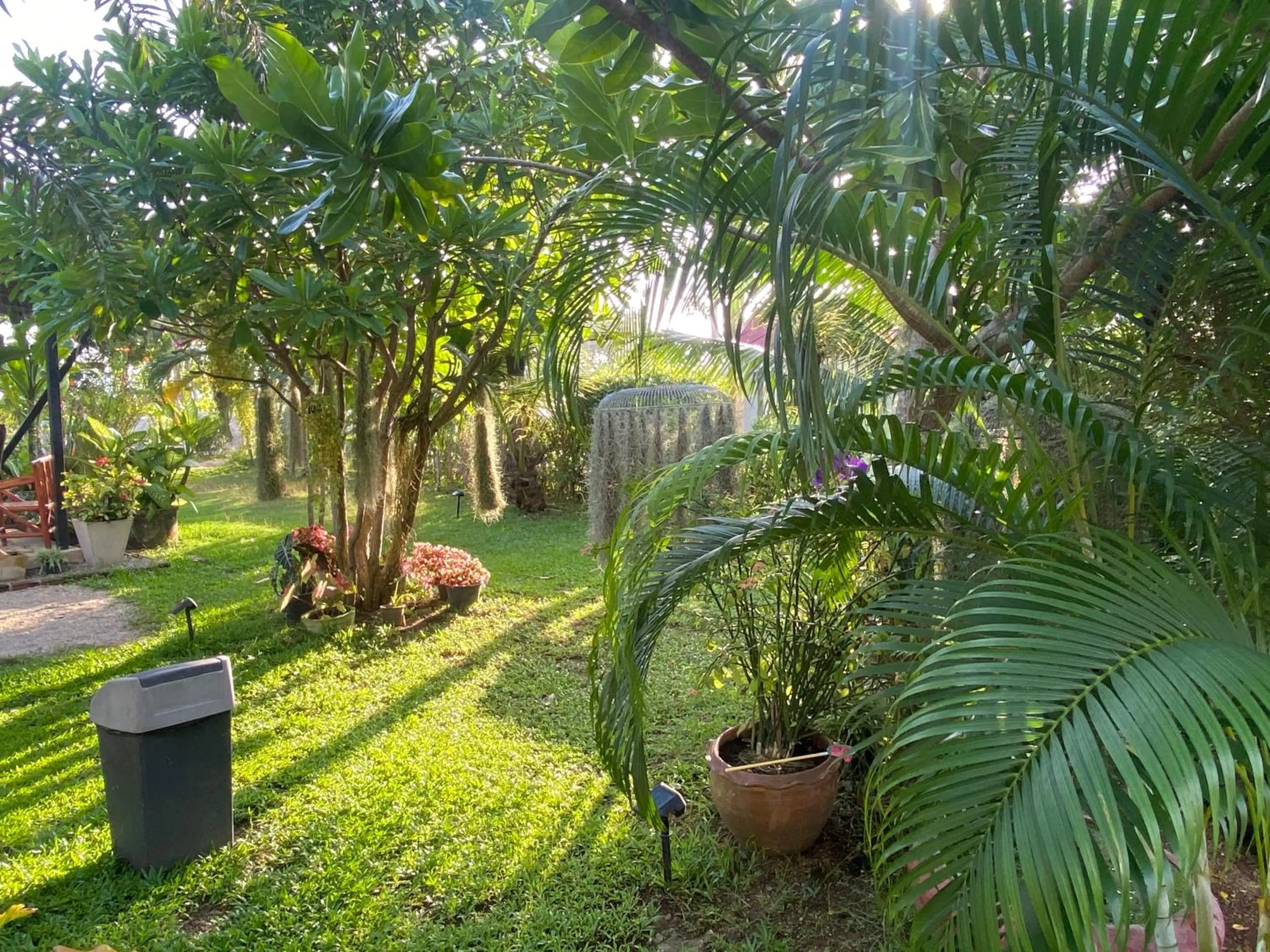 Garden view in Phangan Hometown Resort - Adults Only