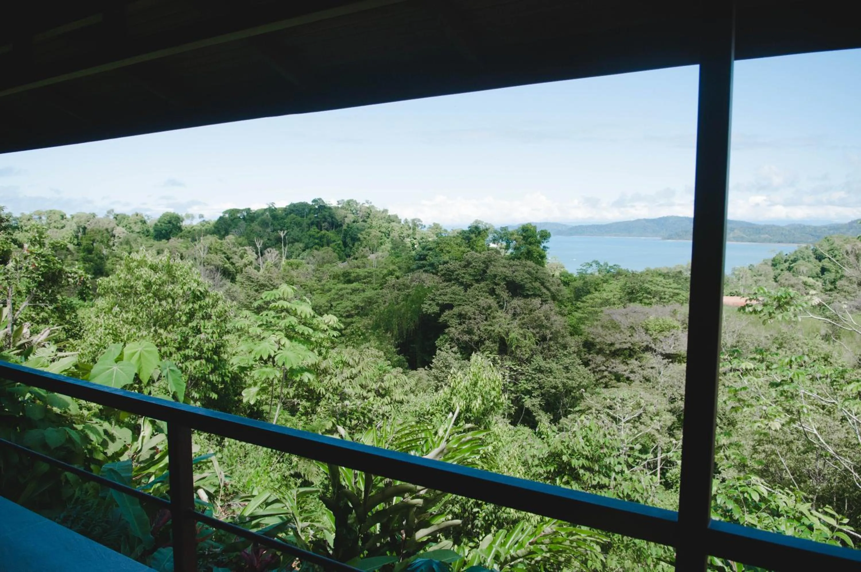 Balcony/Terrace in Drake Bay Greenleaf