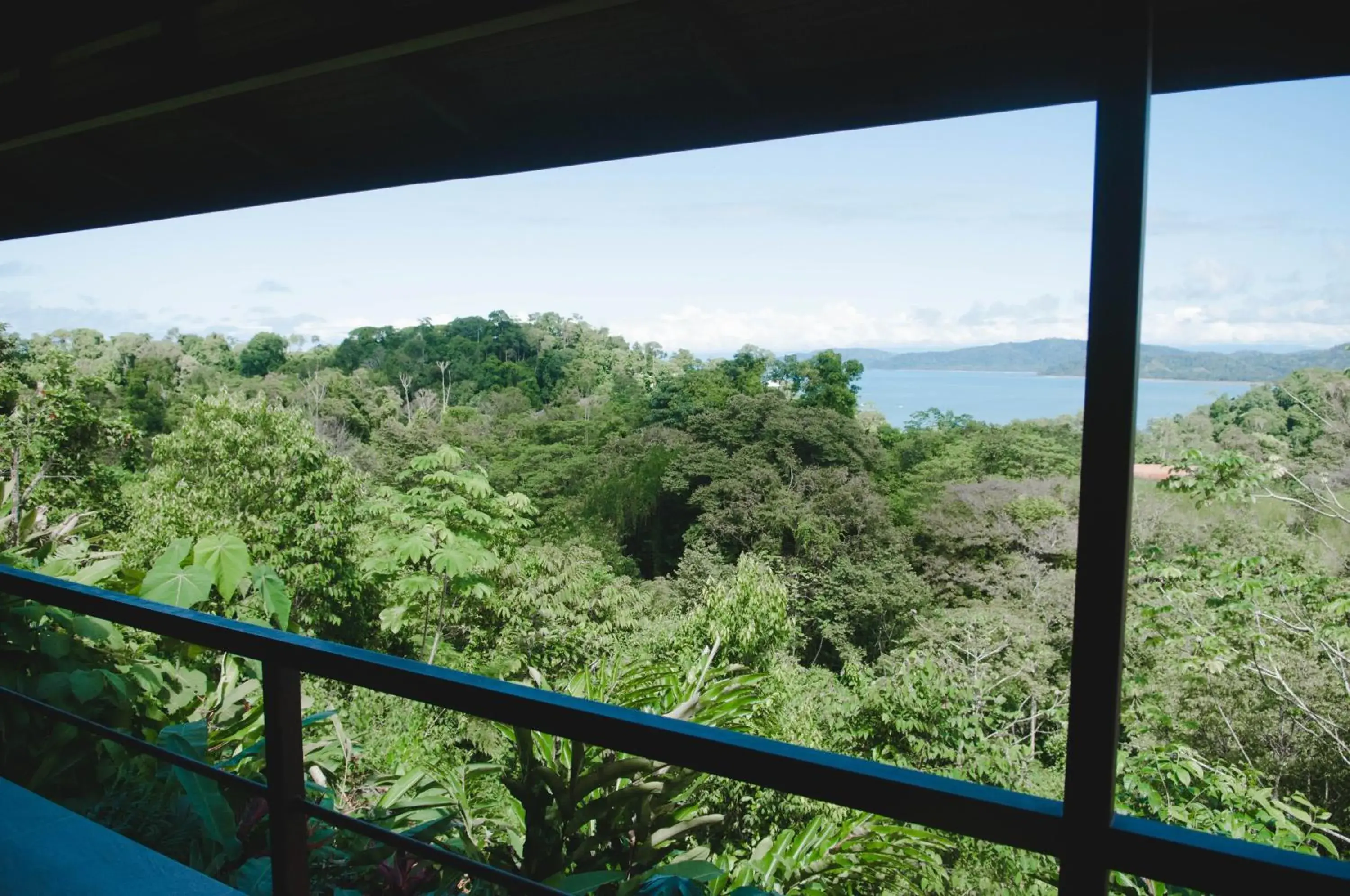 Deluxe Bungalow with Sea View in Drake Bay Greenleaf Deluxe Bungalow with Sea View in Drake Bay Greenleaf