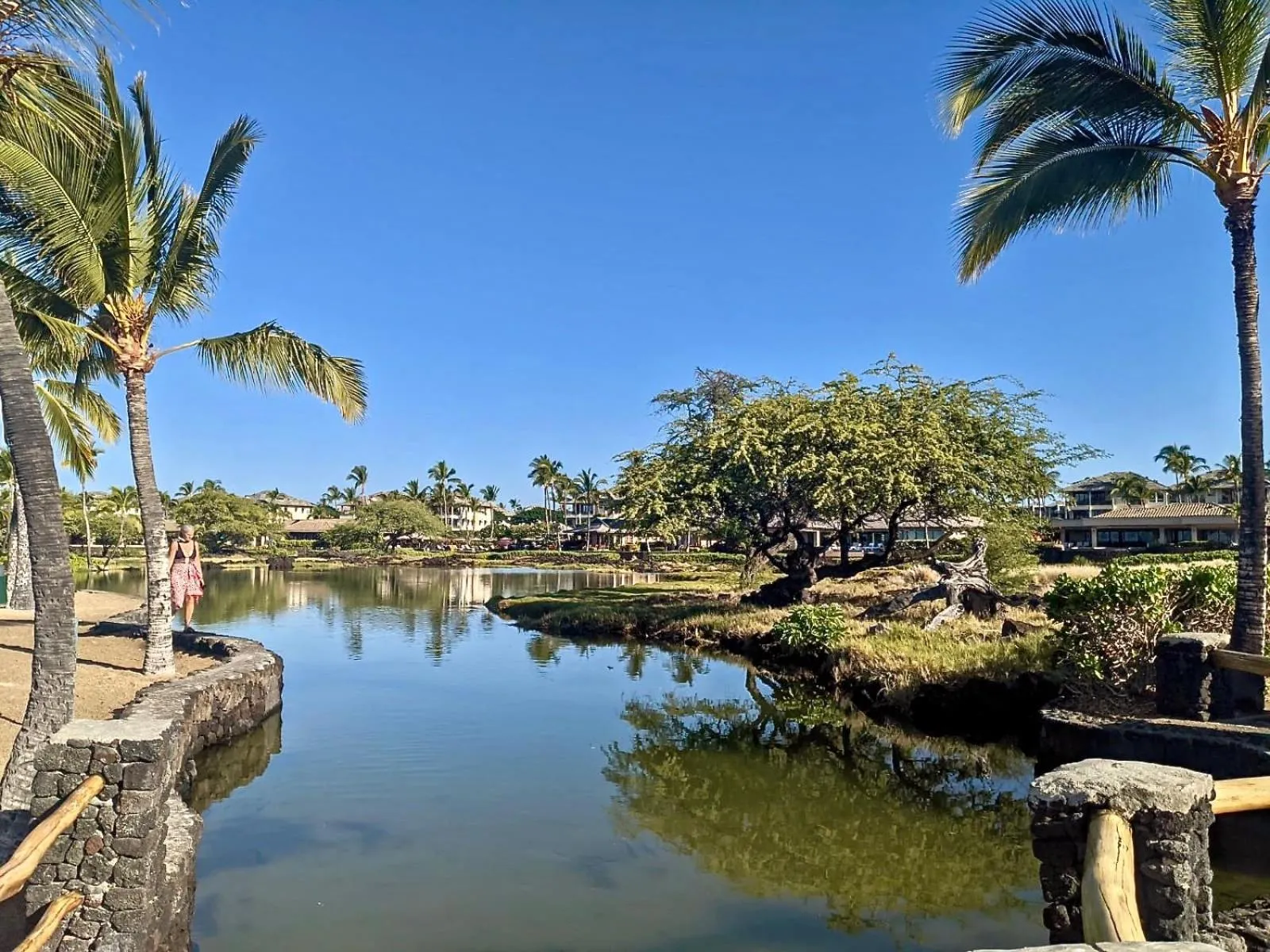 Natural landscape in Unwind on Your Fantasy Hawaiian Vacation- 1BD/1BA Condo in Kailua-Kona, Hawaii