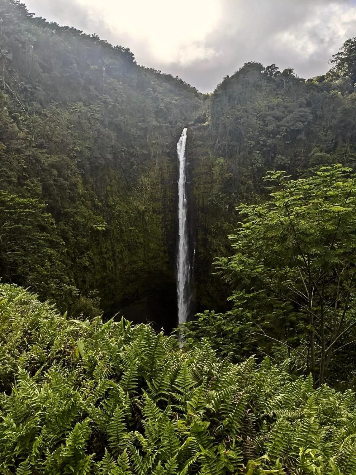 Natural landscape in Unwind on Your Fantasy Hawaiian Vacation- 1BD/1BA Condo in Kailua-Kona, Hawaii