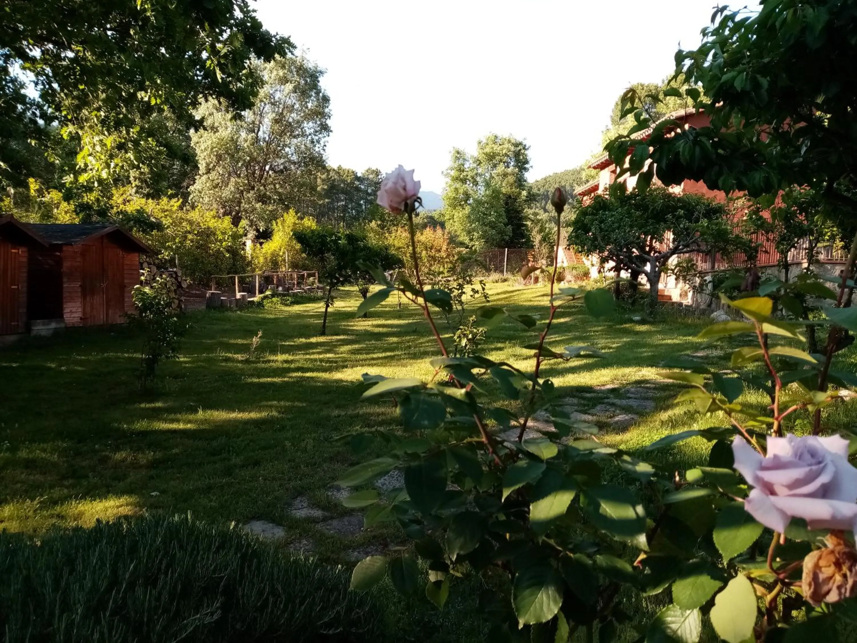 Hotel Rural El Marquesito Antigua Casa Carmela