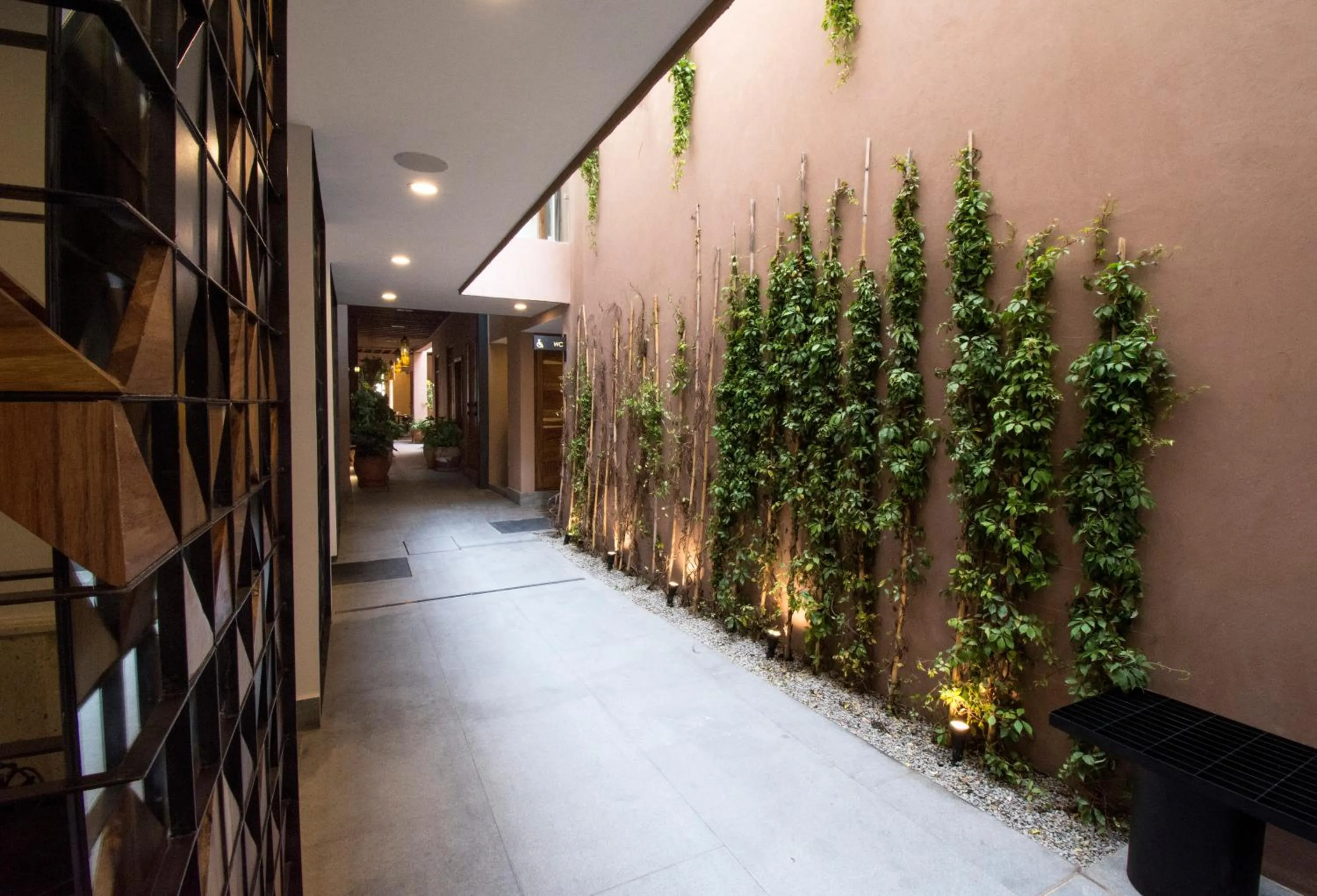 Area and facilities in Casa Santiago Hotel Boutique