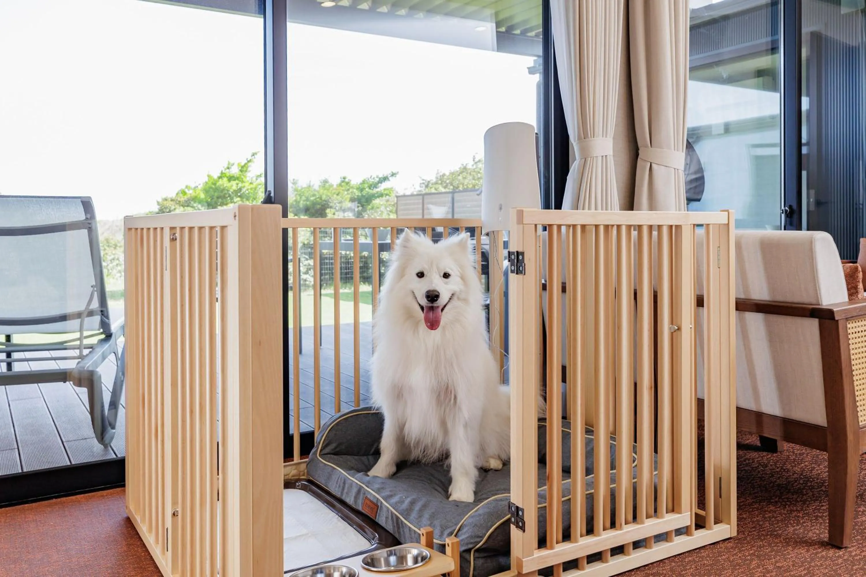 Pets in KAMENOI HOTEL Kujukuri