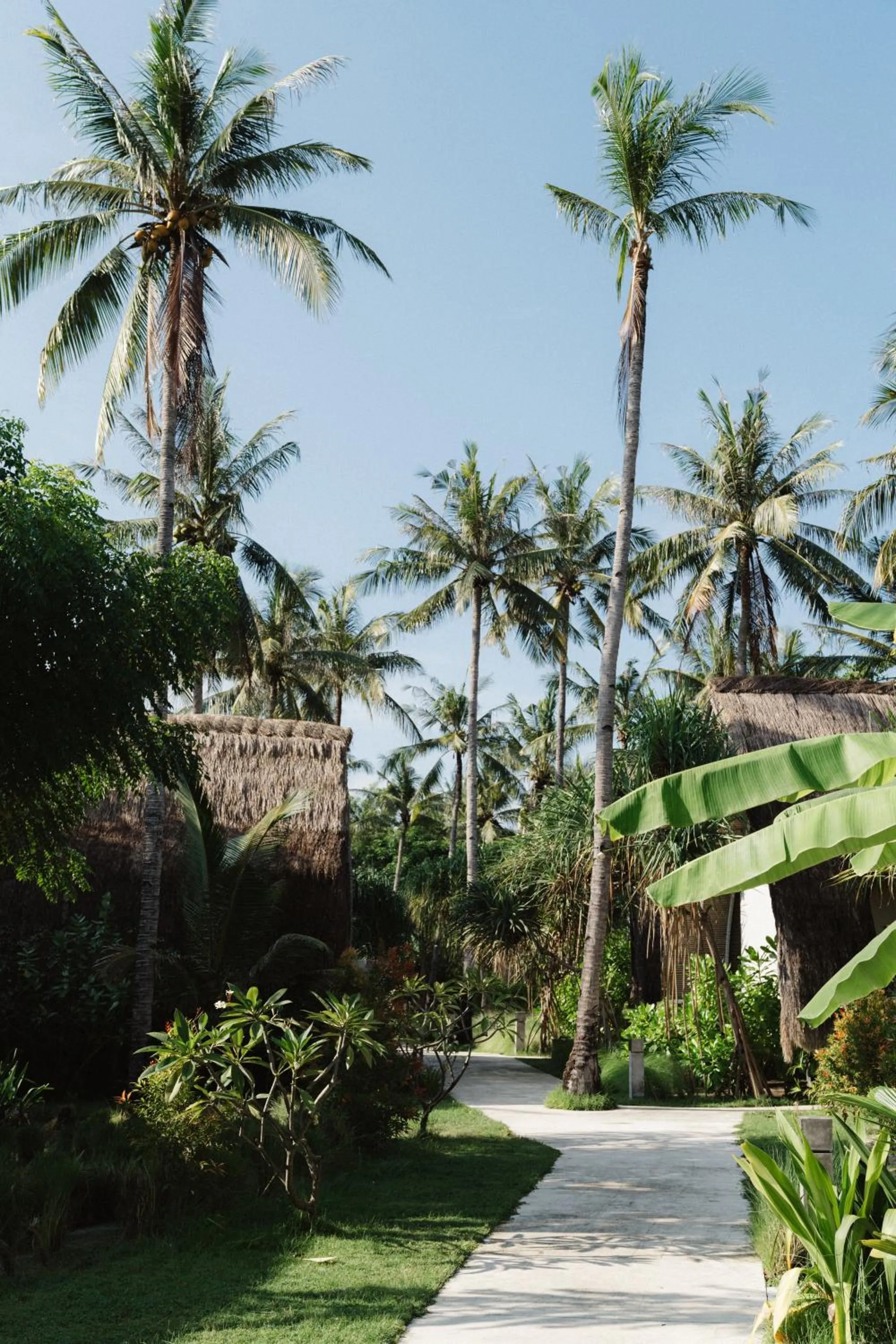 Garden in Hotel Lumi Gili Trawangan