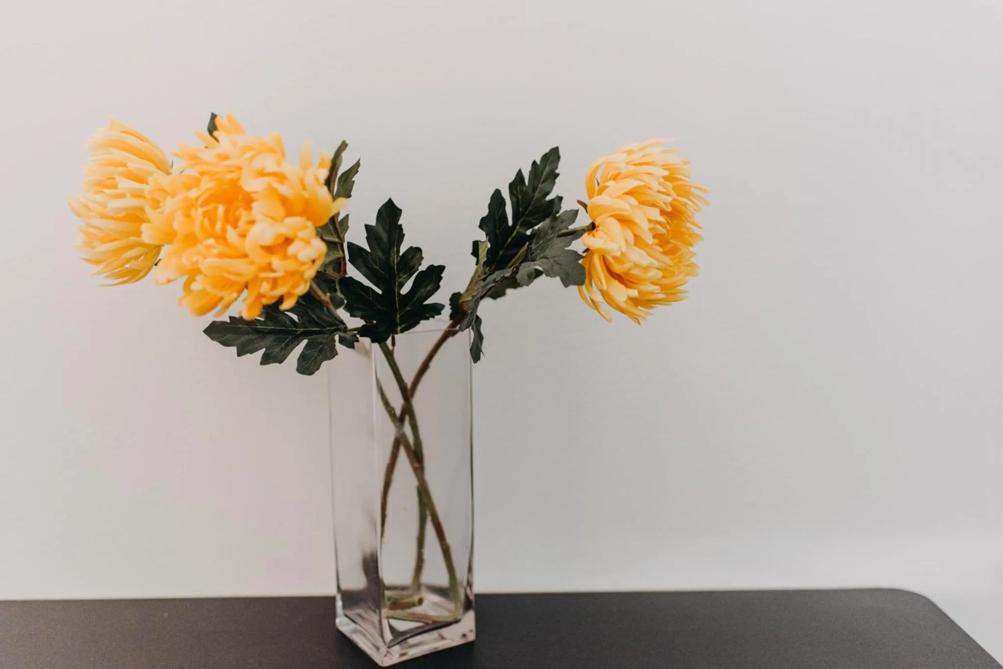 Best House, Nirvana II, Patra