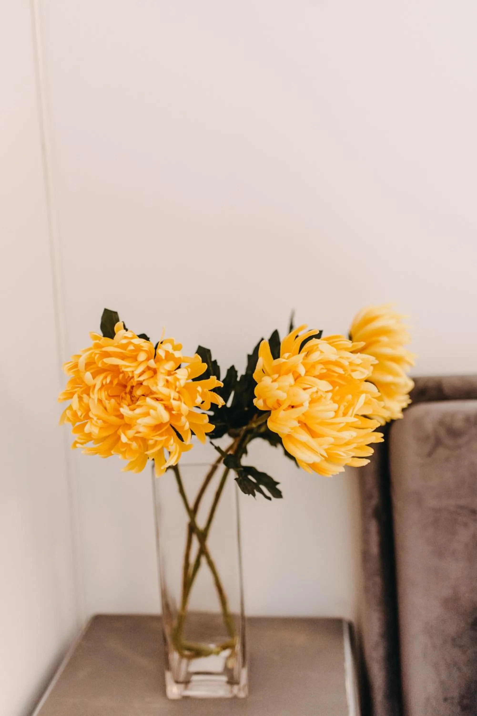 View (from property/room) in Best House, Nirvana II, Patra