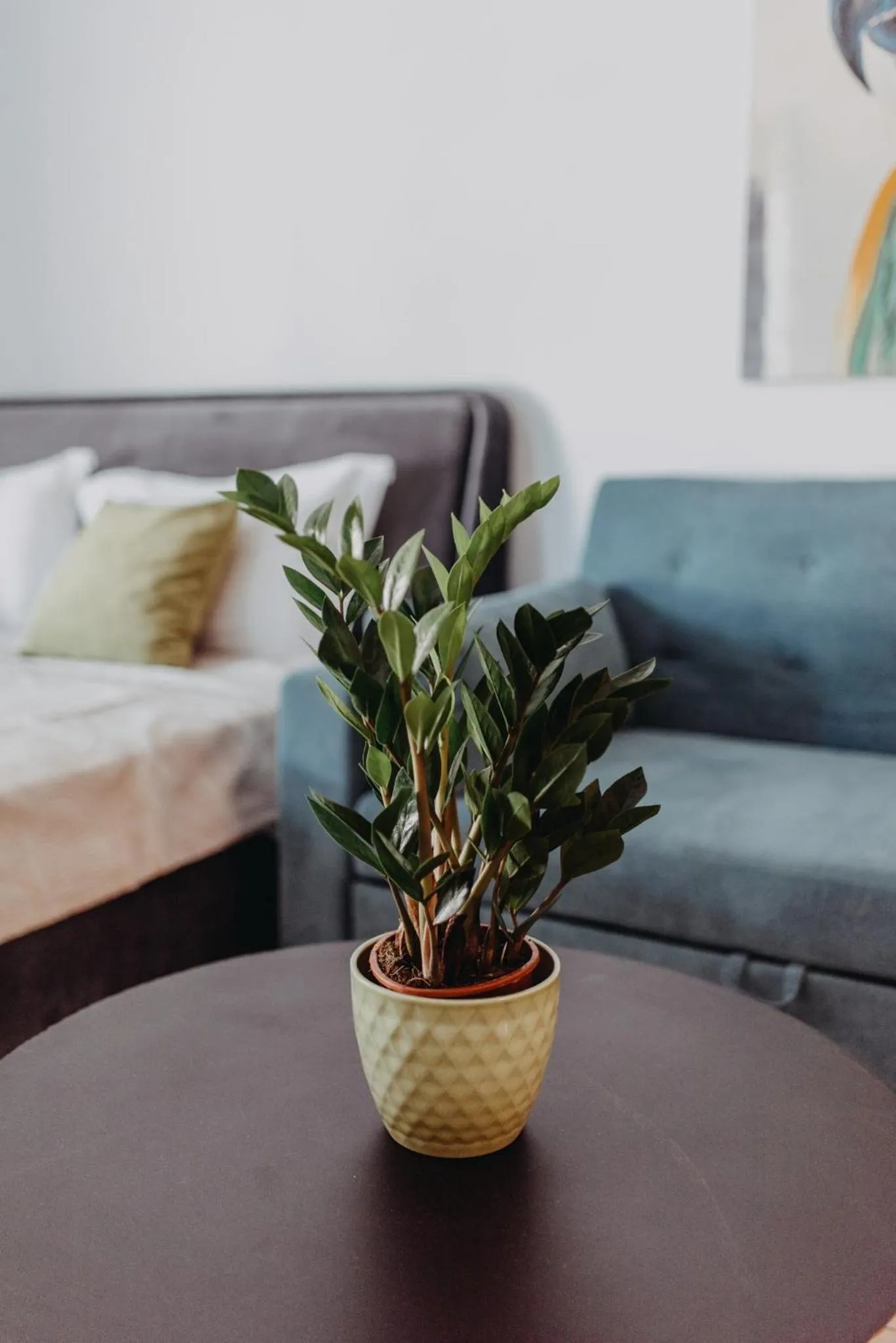 Best House, Nirvana II, Patra