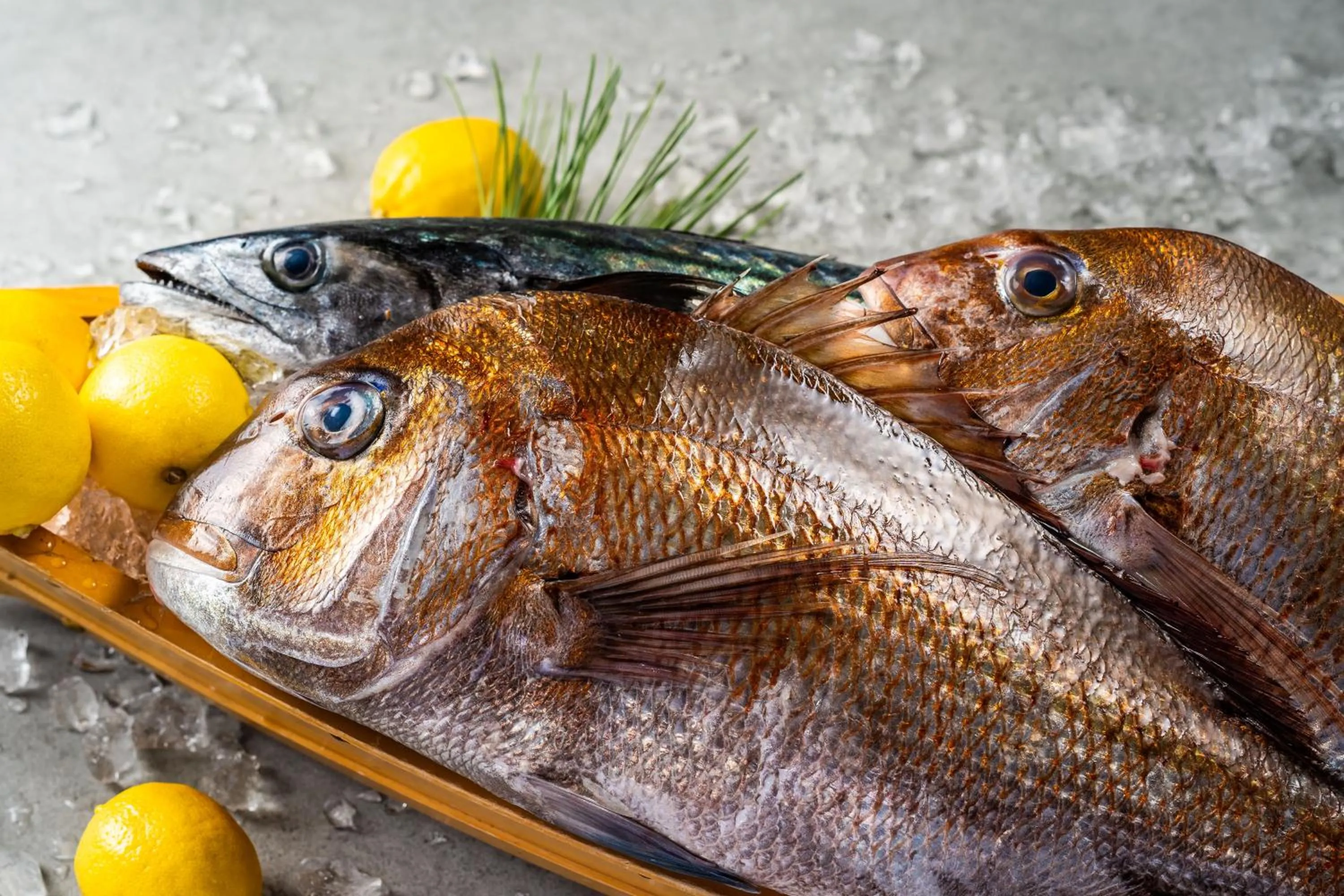 Restaurant/places to eat in KAMENOI HOTEL Kanonji