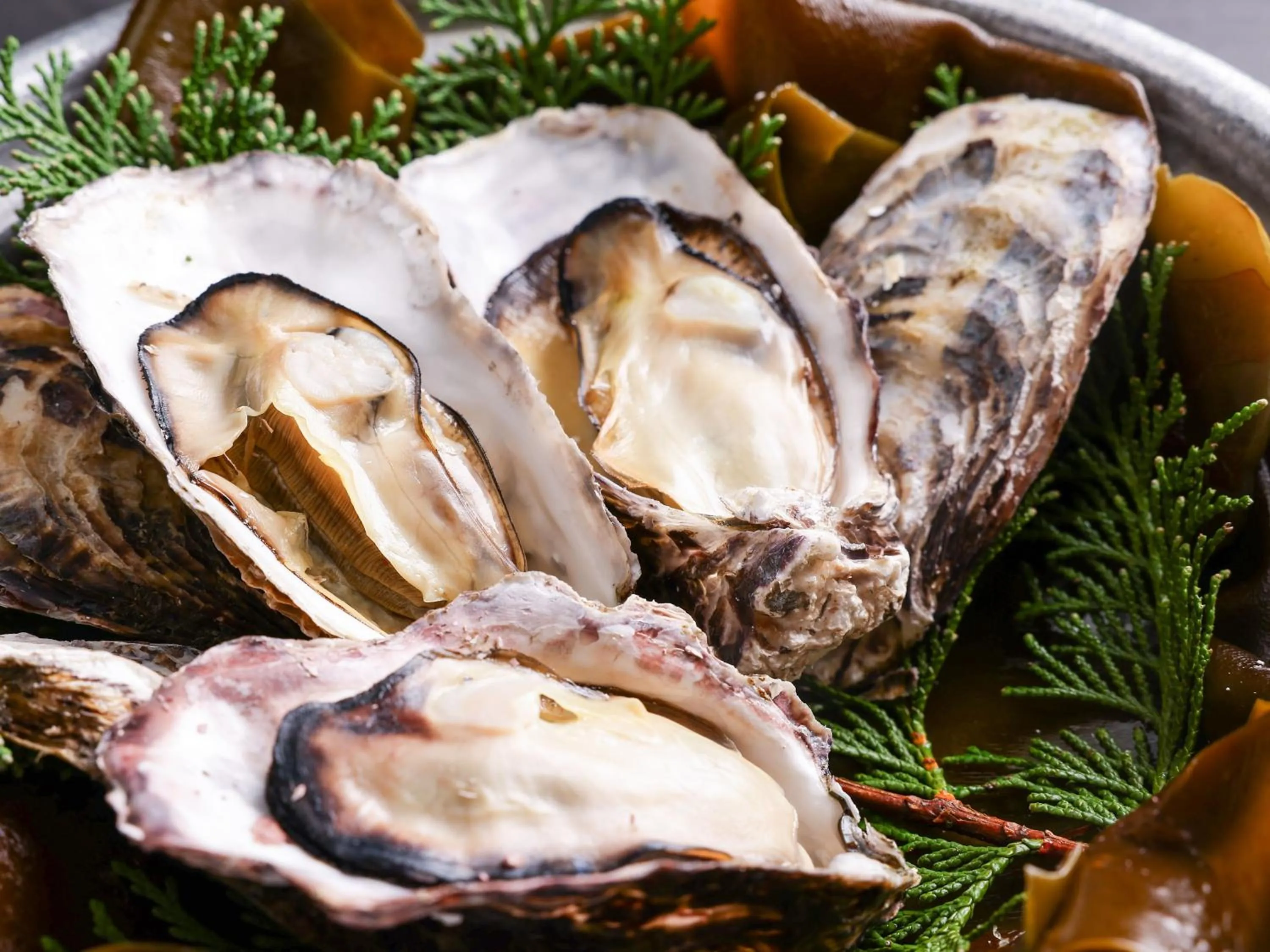 Food in KAMENOI HOTEL Ako