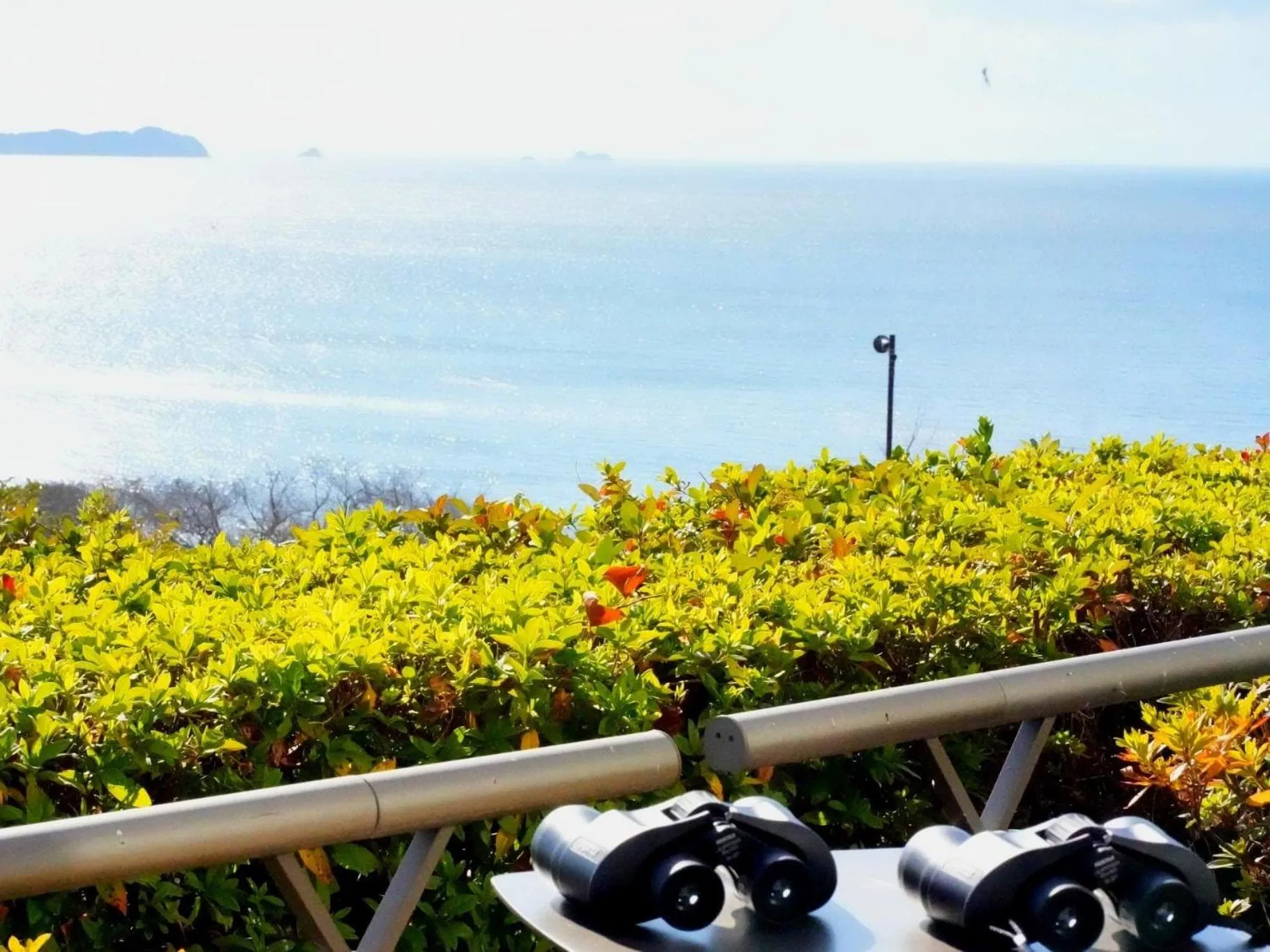 Activities in KAMENOI HOTEL Ako