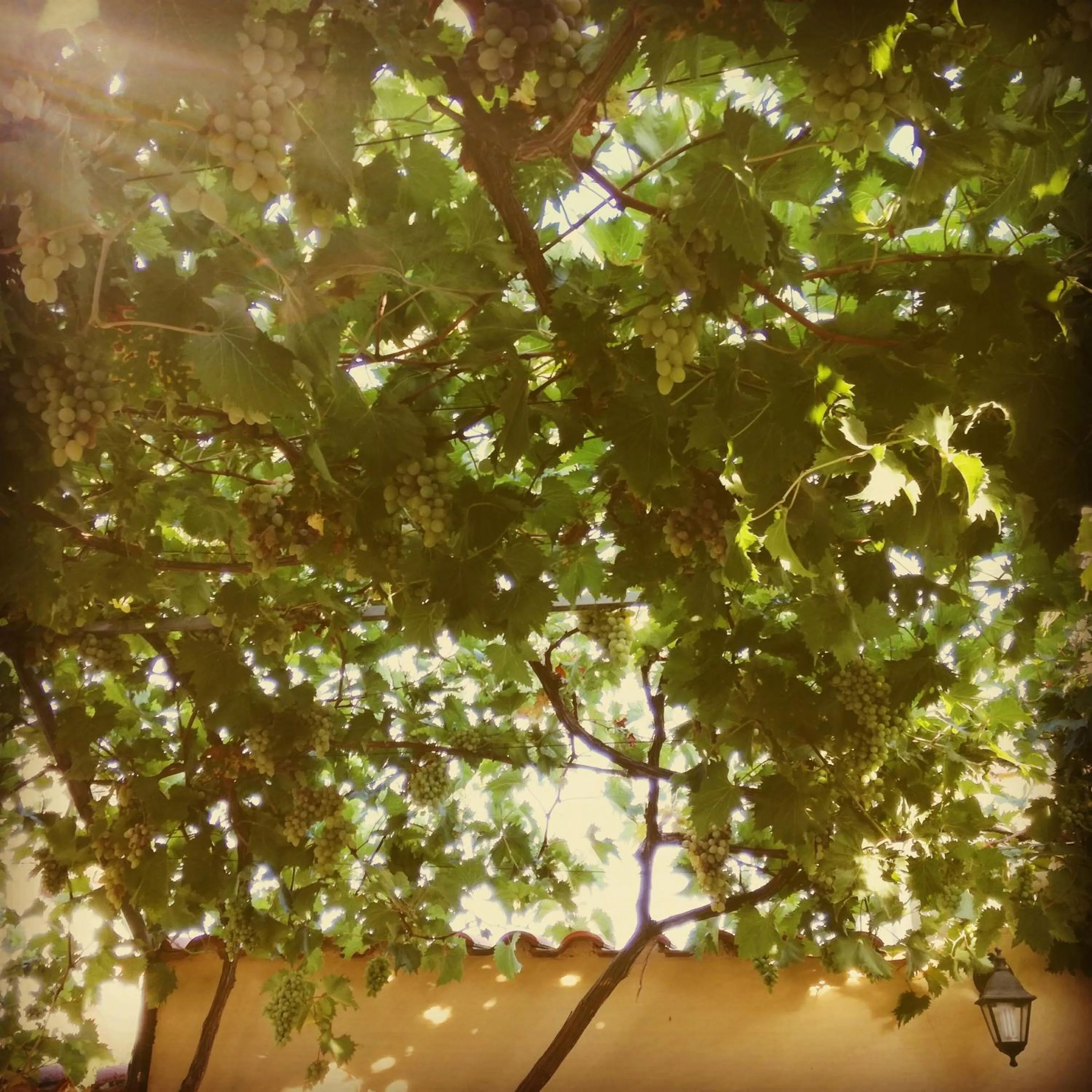 On site in The Yellow House