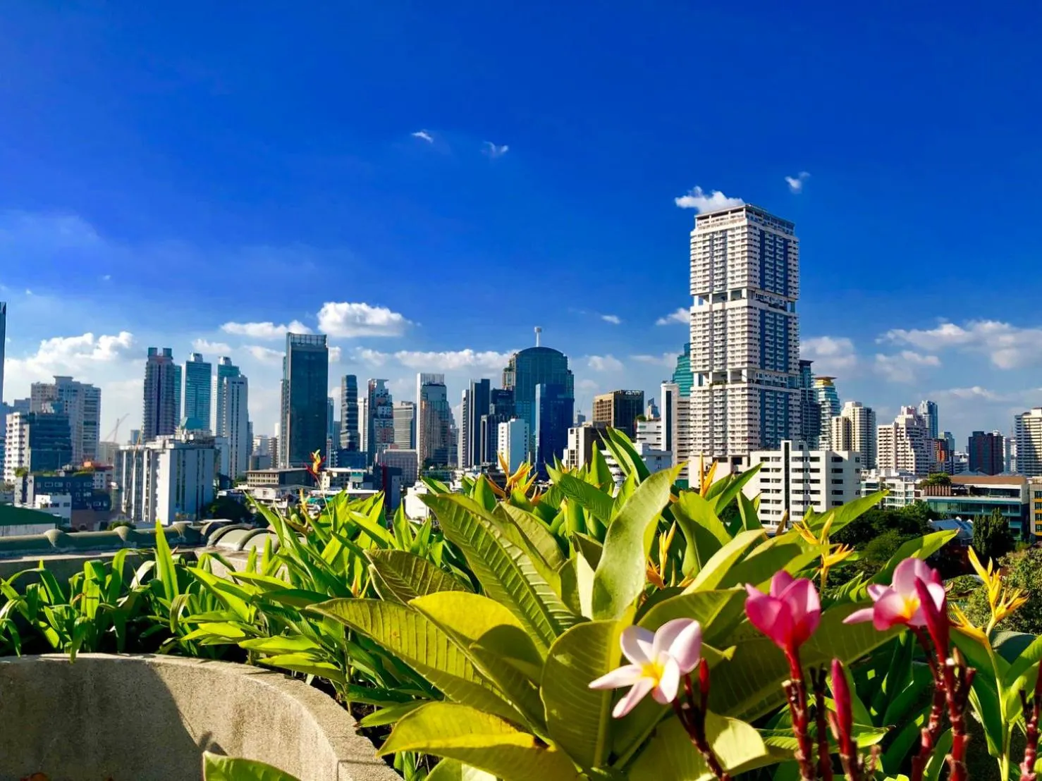 Nearby landmark in NT Place Sukhumvit Suites