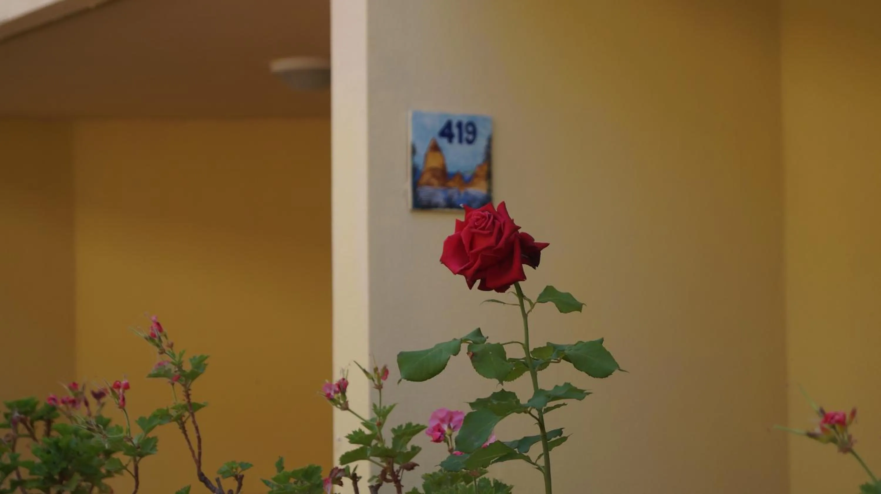 Floor plan in Il Poggio Di Tropea Villaggio Soft All Inclusive